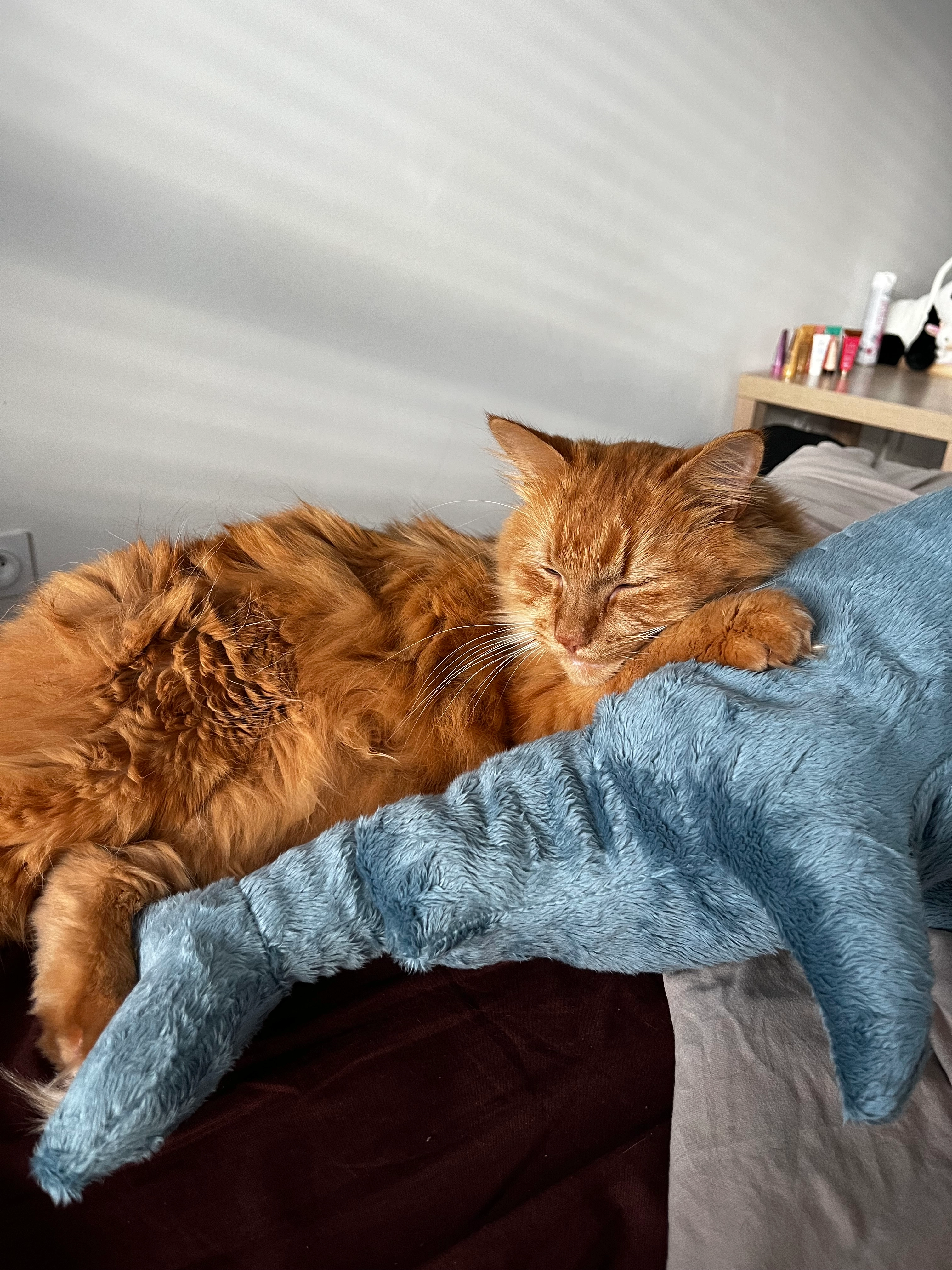 Simba - Lebretin, Servon-sur-Vilaine