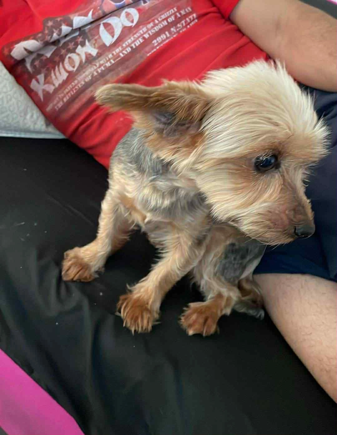 Maya - Eccleston Avenue, Bolton