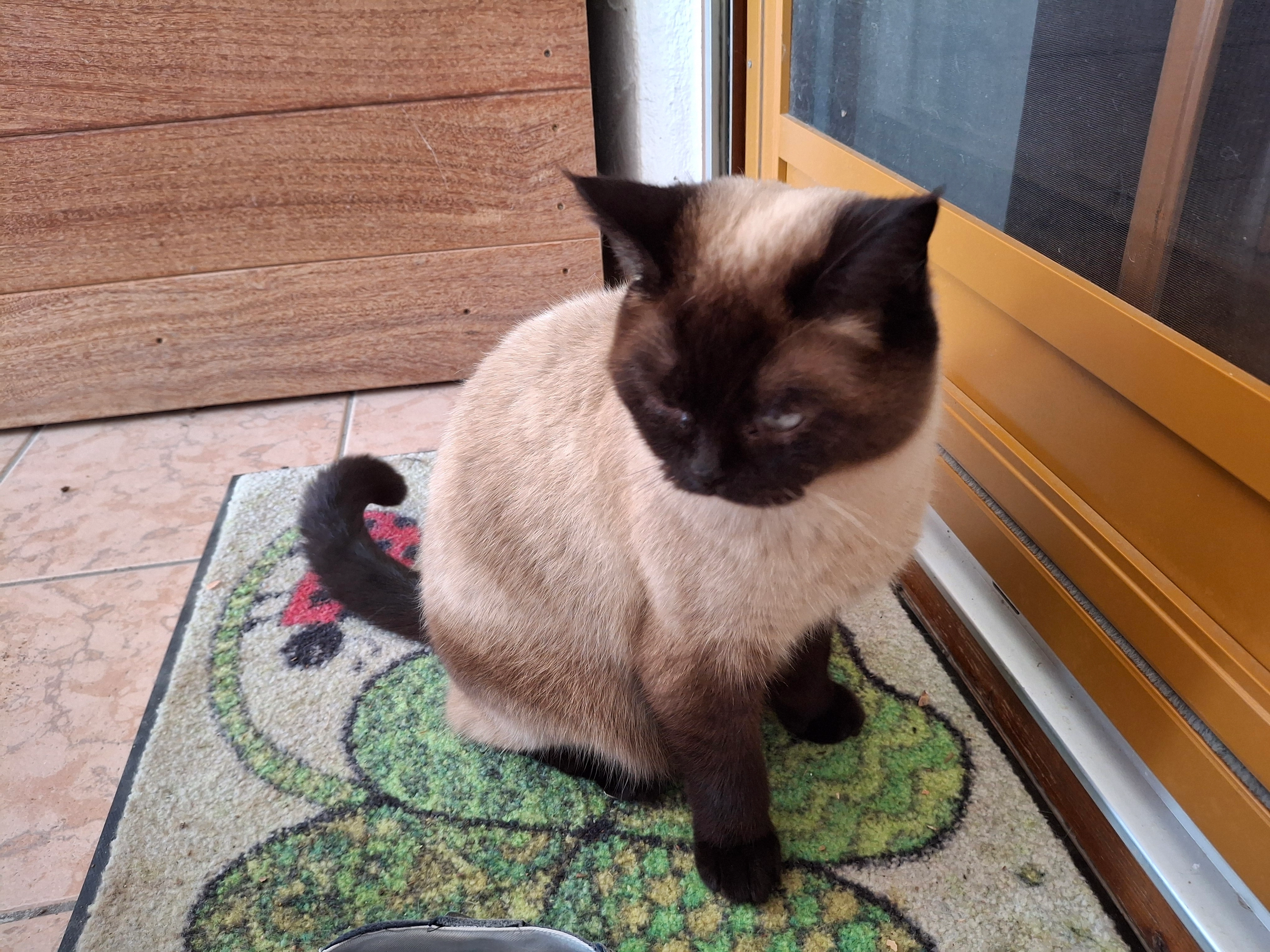 Chilly - Am Fischmarkt 18, Kirchroth