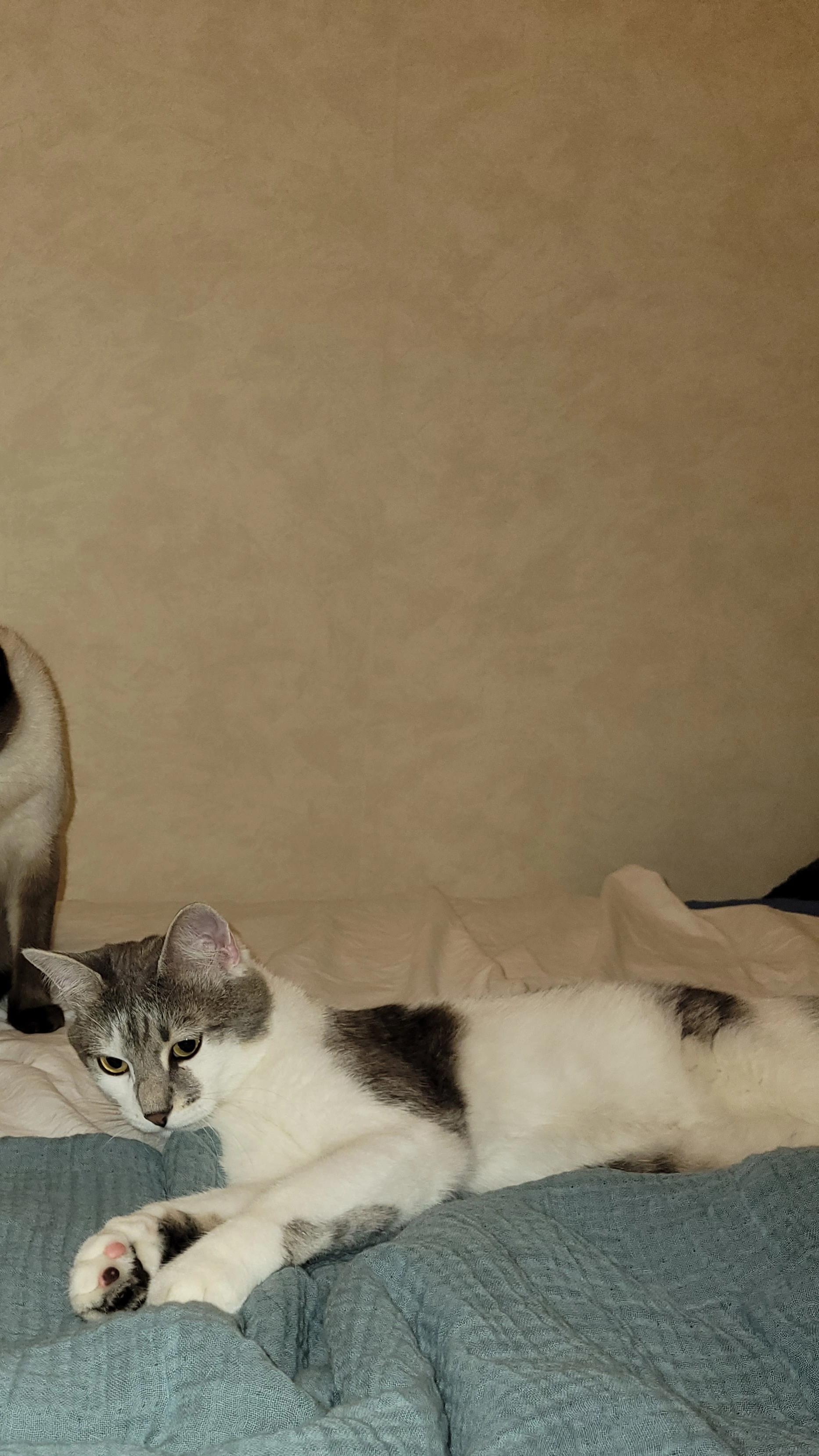 Yuki - 94 Rue Charles Infroit, Vitry-sur-Seine