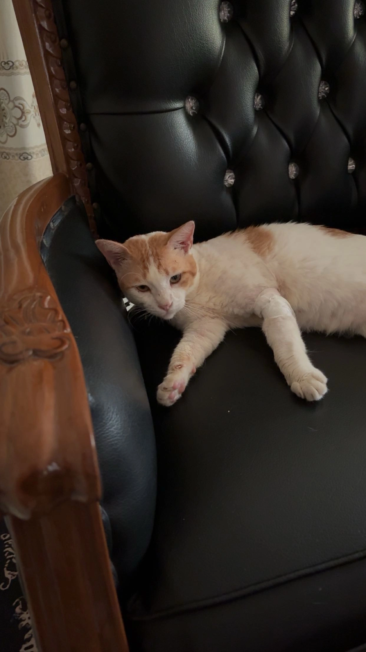 Nugget - 81900, Kota Tinggi