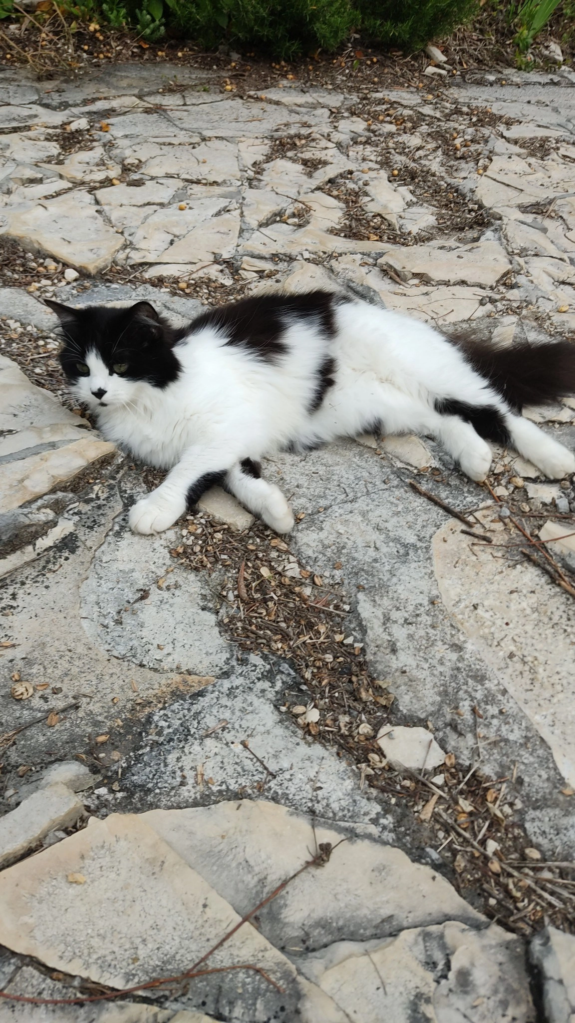 Musti - Rua da Vinha, Vilarinho de Cima