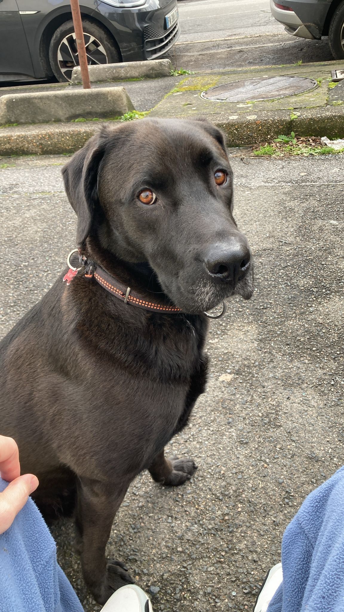 MONK - Chemin du Heyritz, Strasbourg