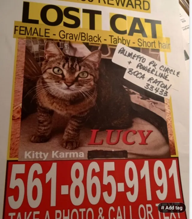 Lucy - 6850 Palmetto Cir S, so. of Powerline, Boca Raton /Boca del Mar 33433