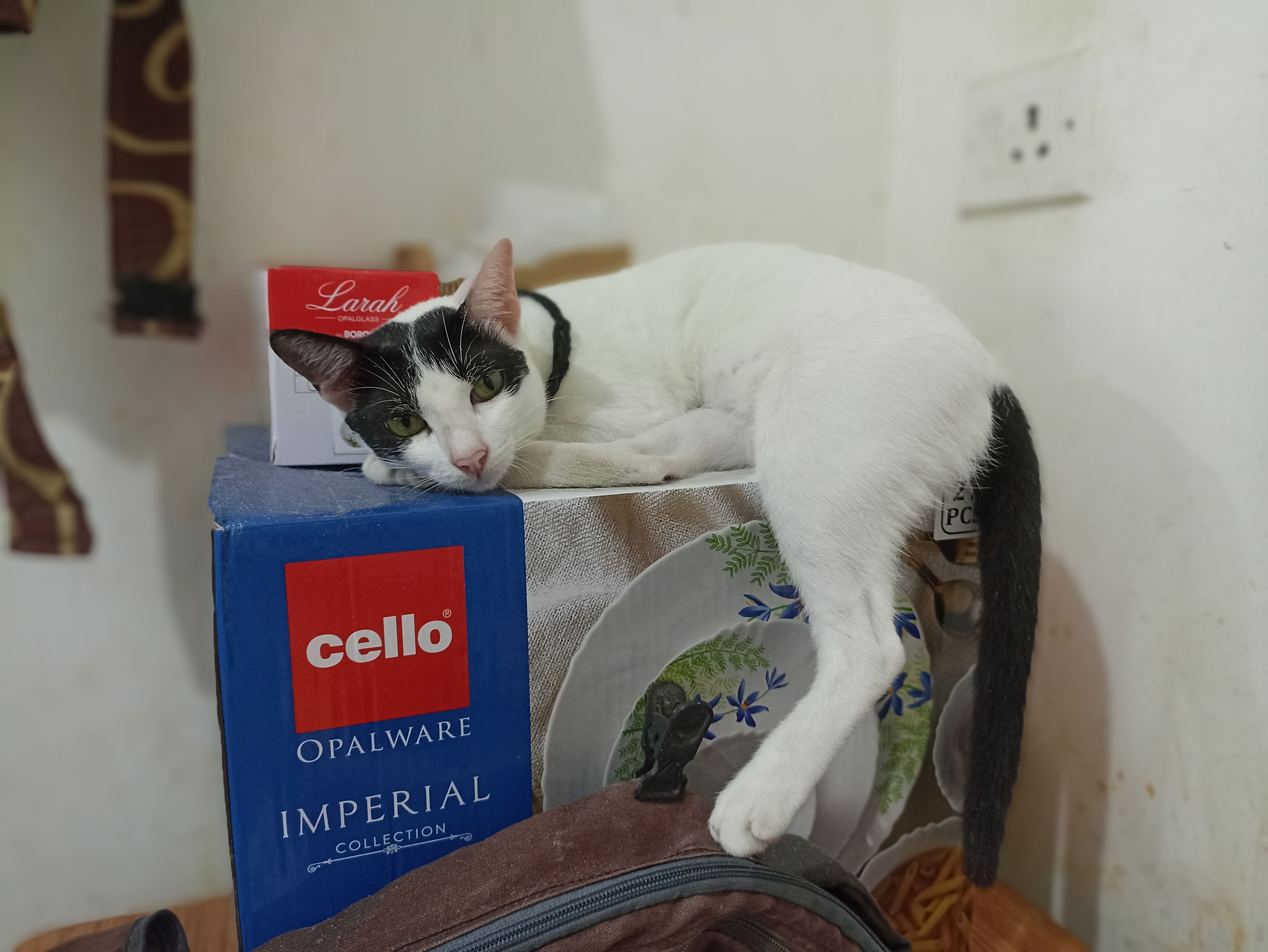 Mini - Ananda Chandra Ghosh Road, Joynagar