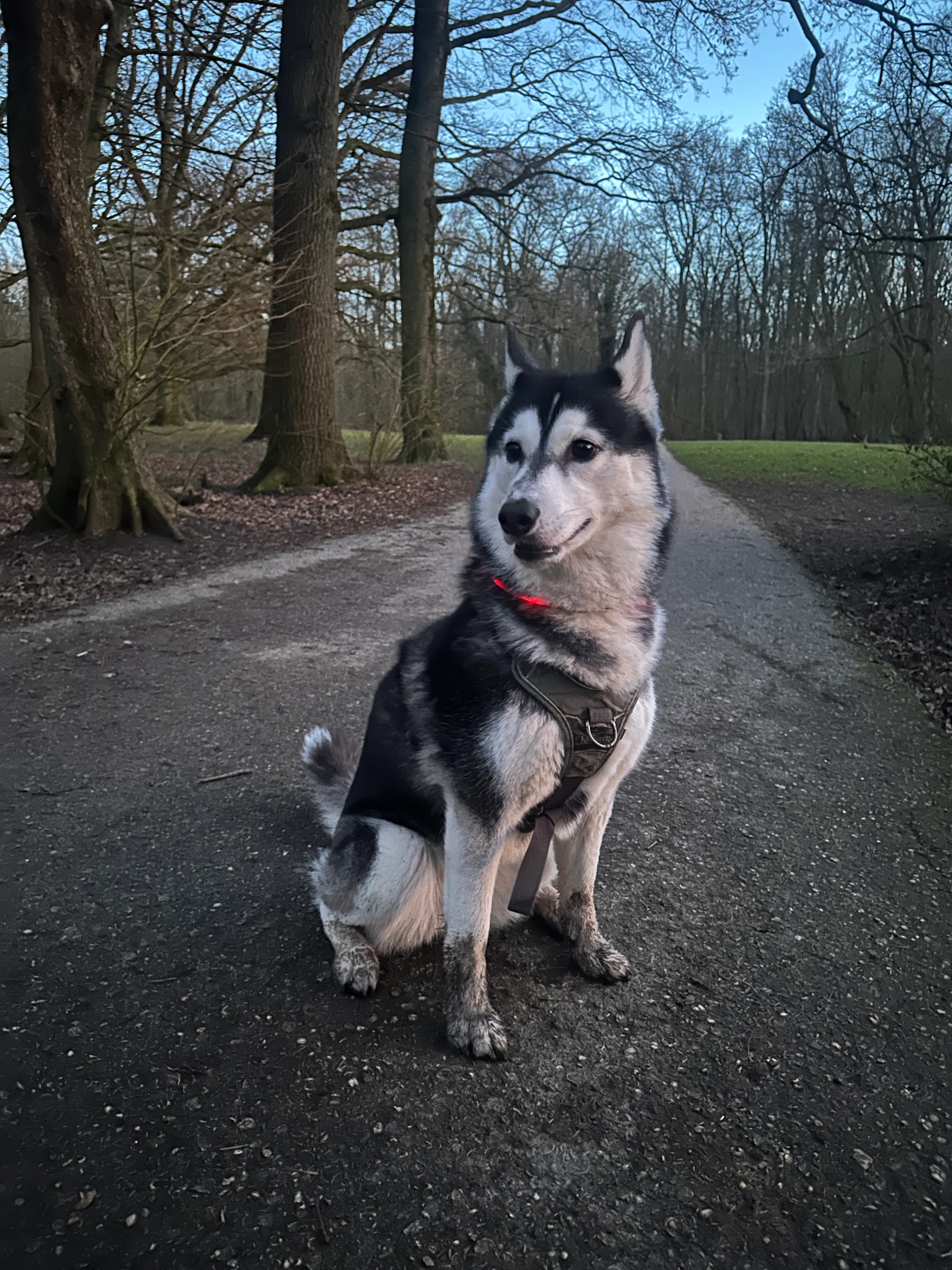 Heda - Rijtenstraat, Lommel