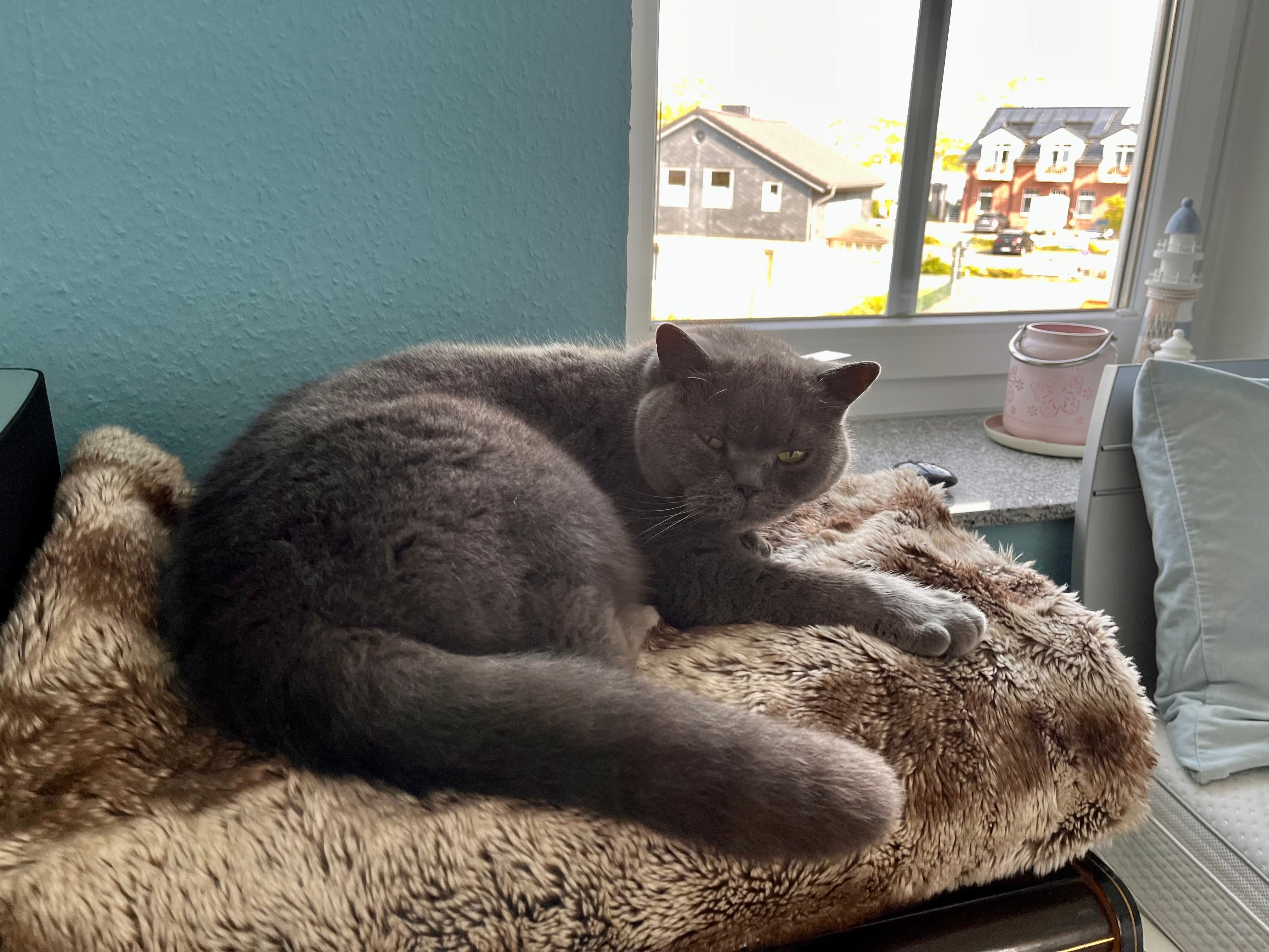 Loui - Fritz-Lau-Straße 8, Heikendorf