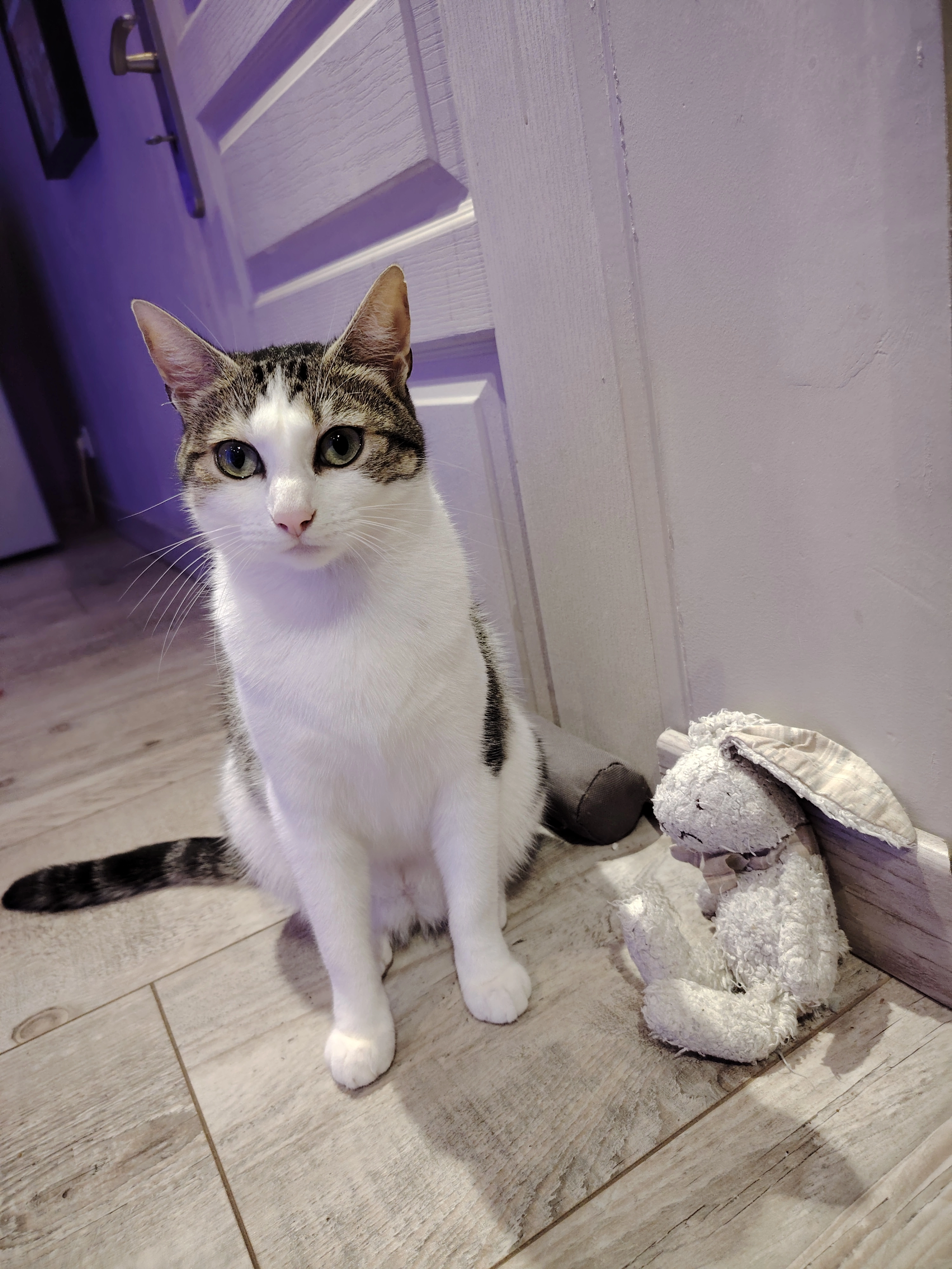 arya - 4 Rue du Chemin de Fer, L'Hôpital