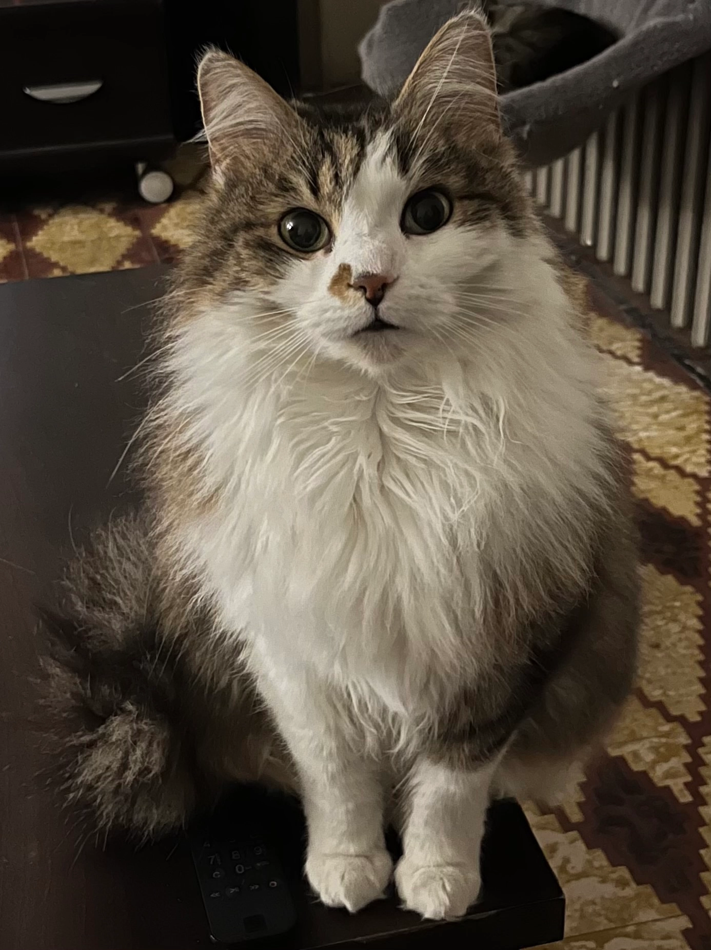 Dexter - 109 Rue Montgolfier, Liévin