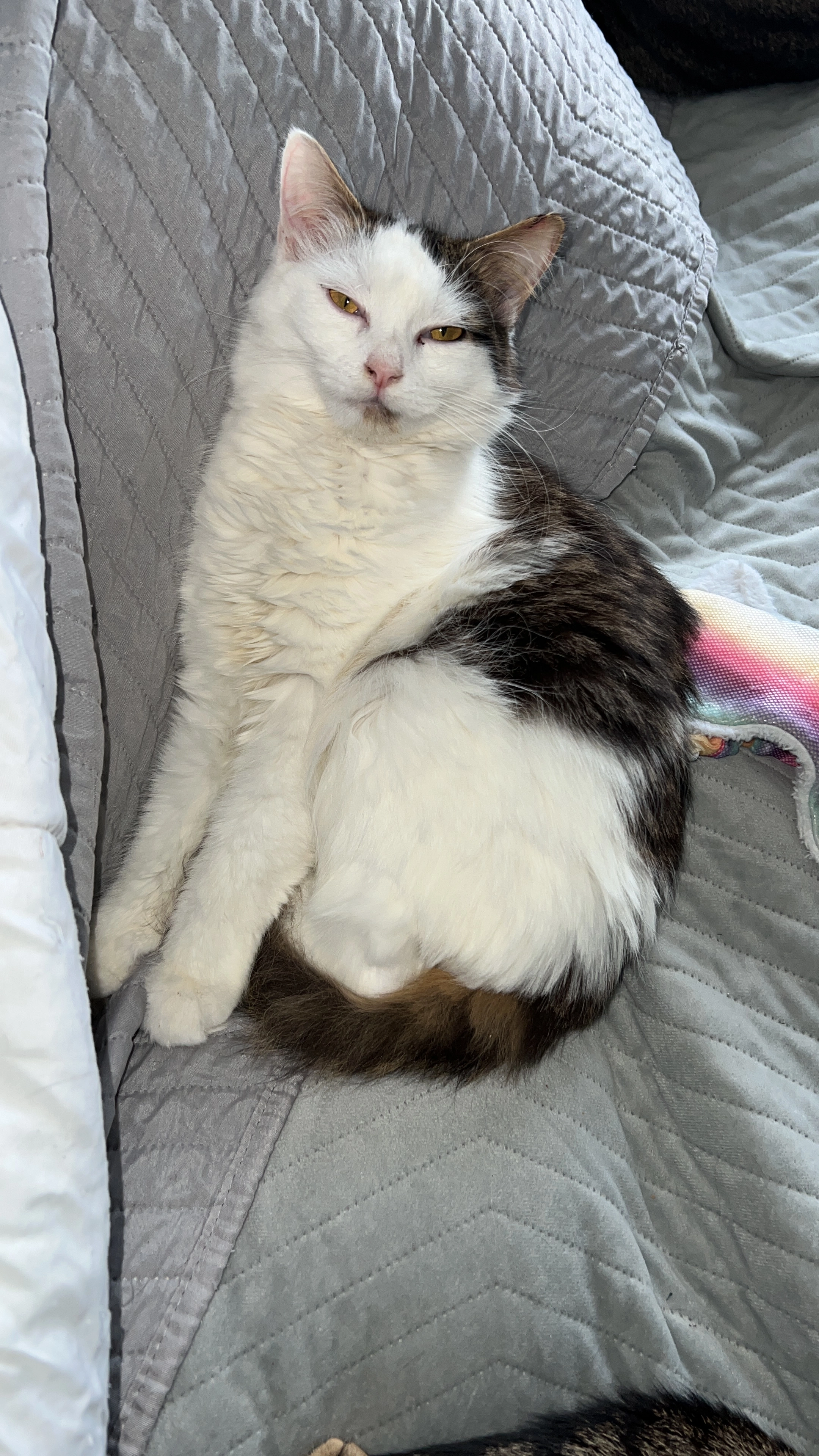 Winnie  - Lotissement Saint-Michel, Salernes