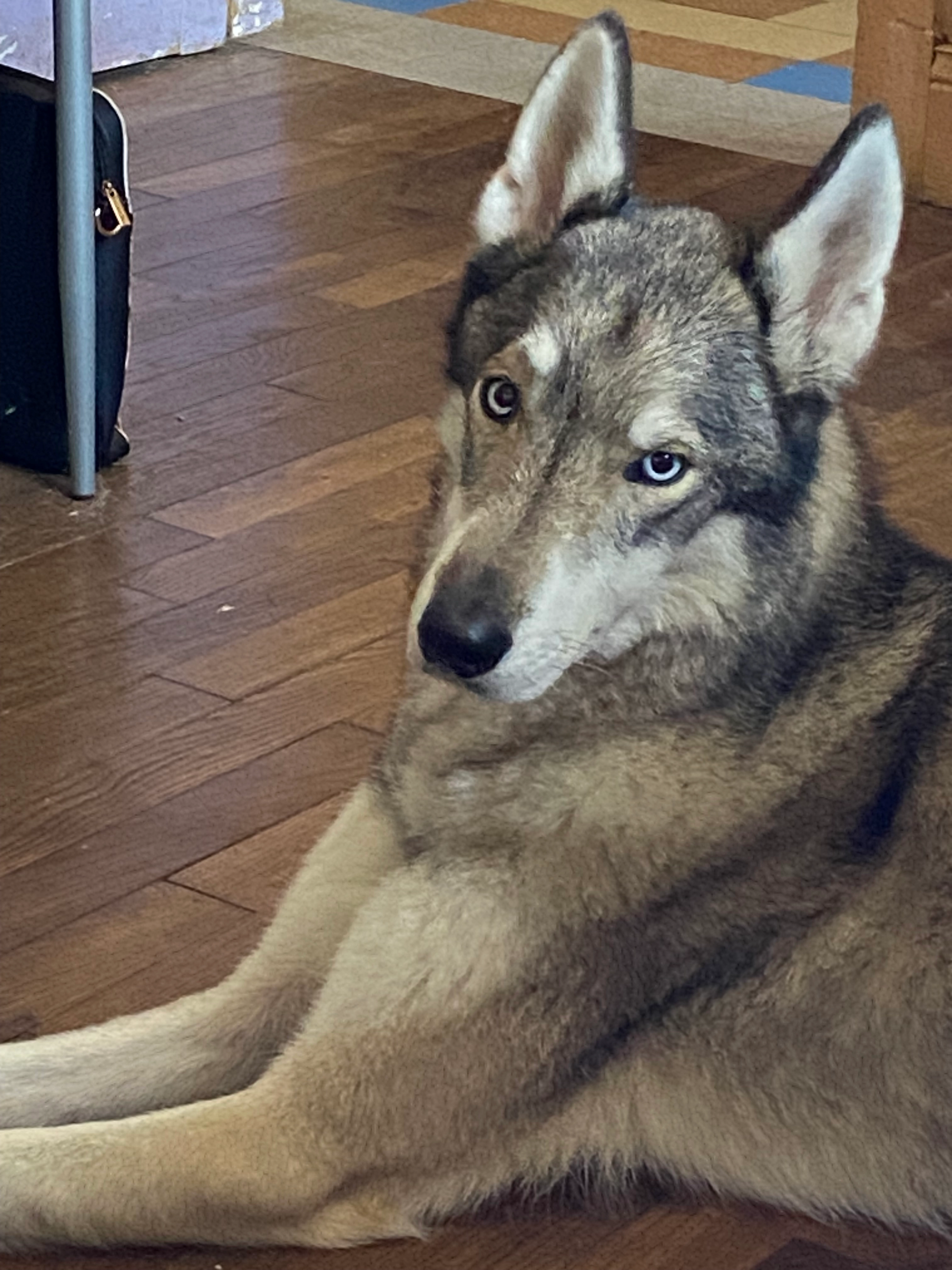 Orio - Rue Haute de Compertrix, Châlons-en-Champagne