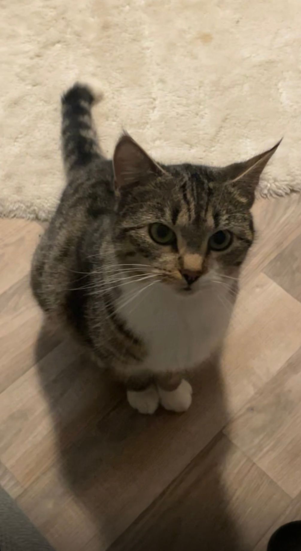 Kiki - Esenser Straße, Aurich