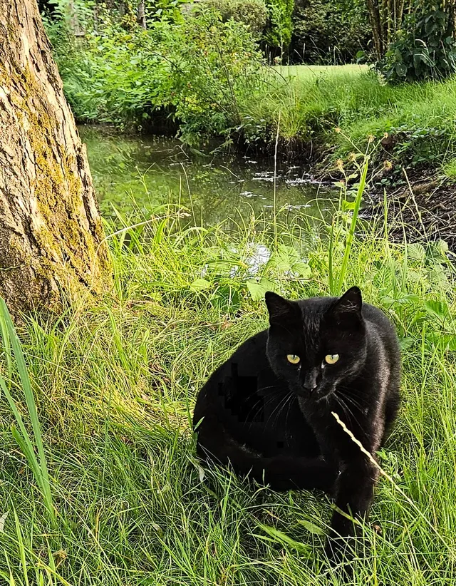 Ralph - Cranleigh Mead, Cranleigh