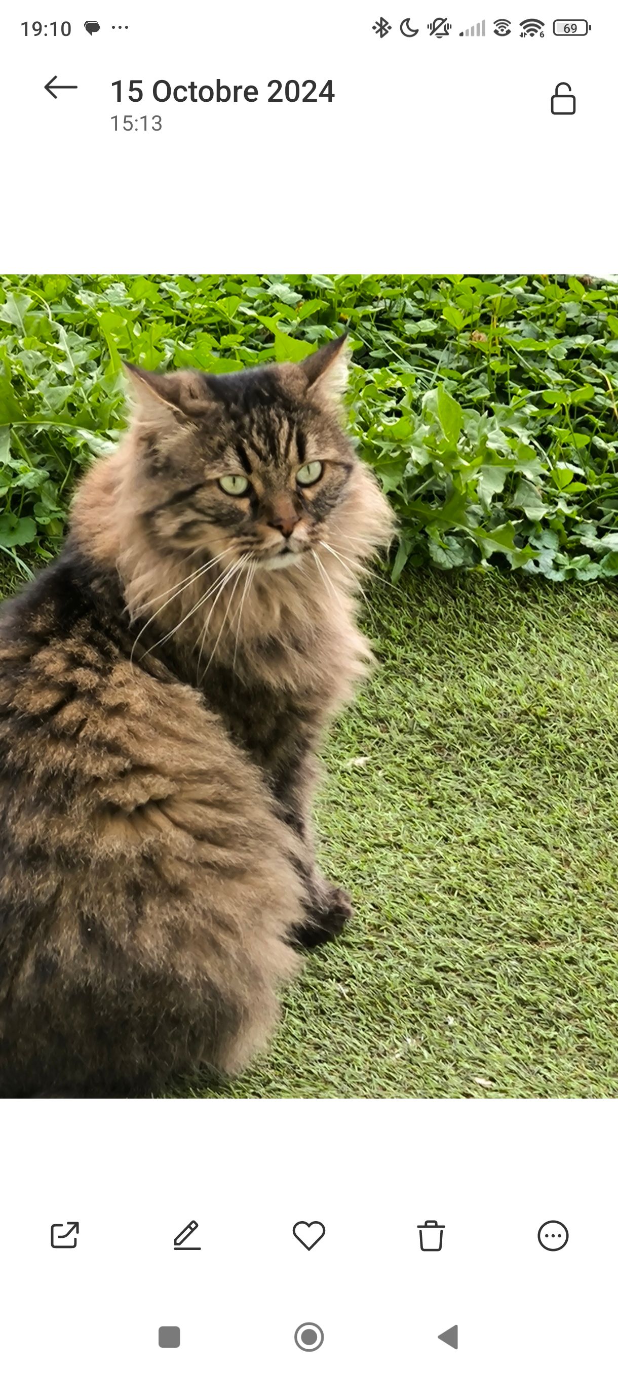 Locks - 18 Rue du Petit Chantilly, Bresles