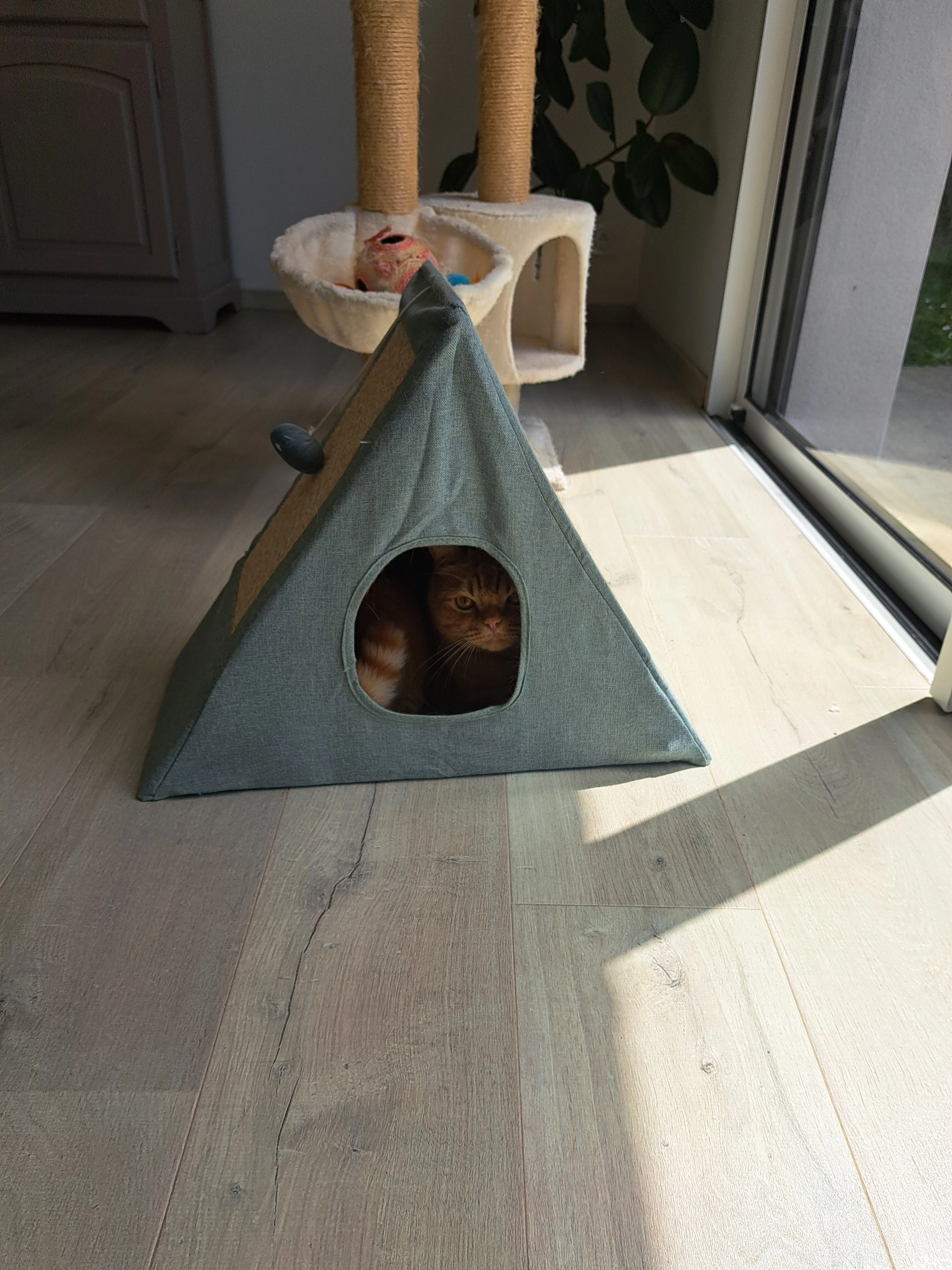 Filou - Rue Des Chênes, Lannion