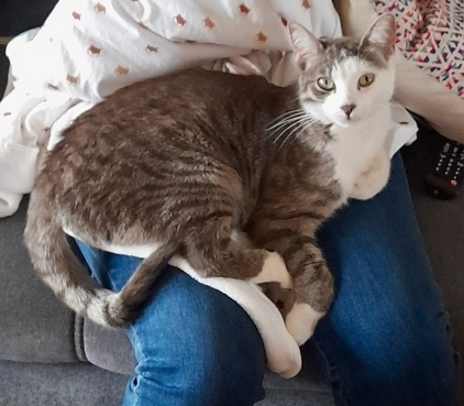 Bibi - 1 Rue des Aragnous, Lagos