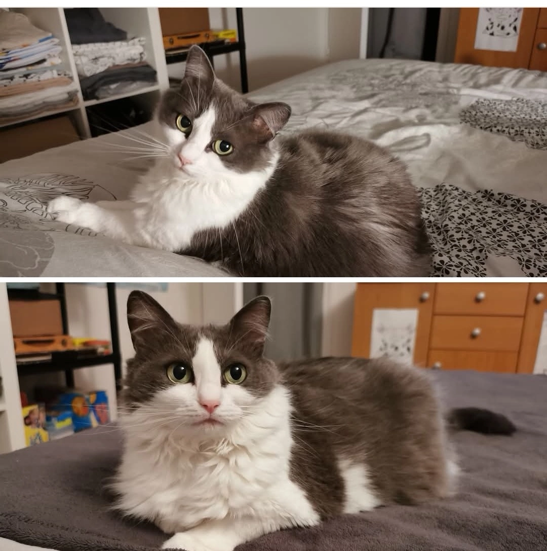 Louva - Rue du Bosson, Fillière (Thorens-Glières)