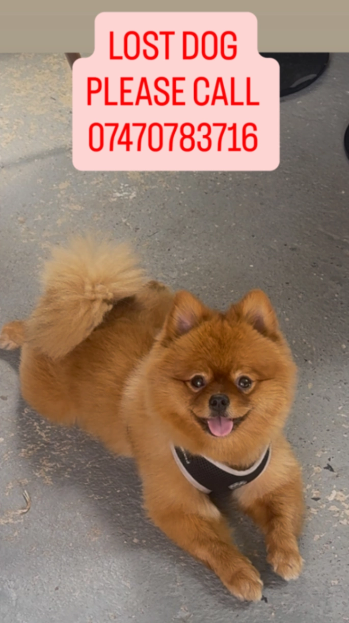 Versace - Princes Avenue, London