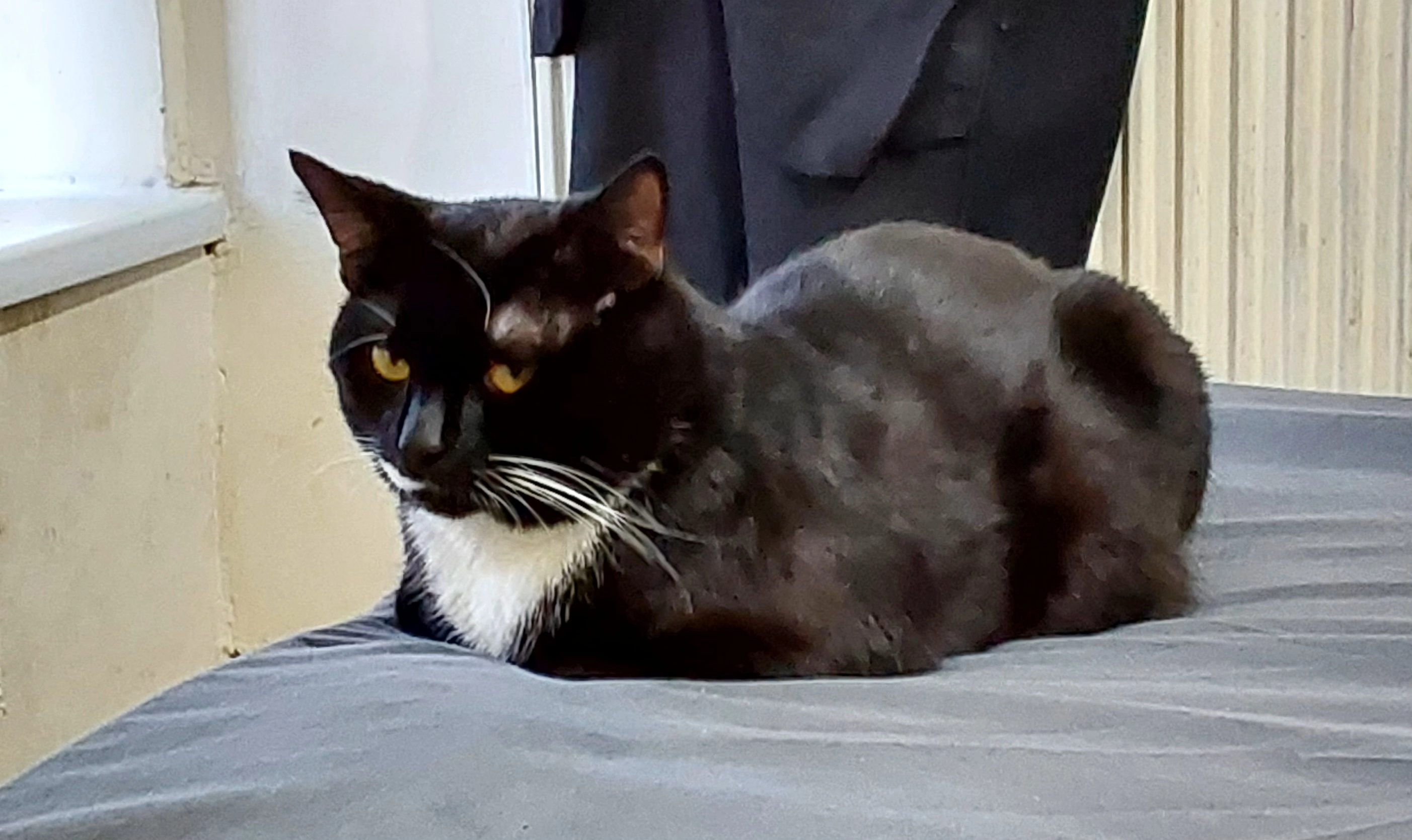 Huggu - 193 Legrams Lane, Bradford