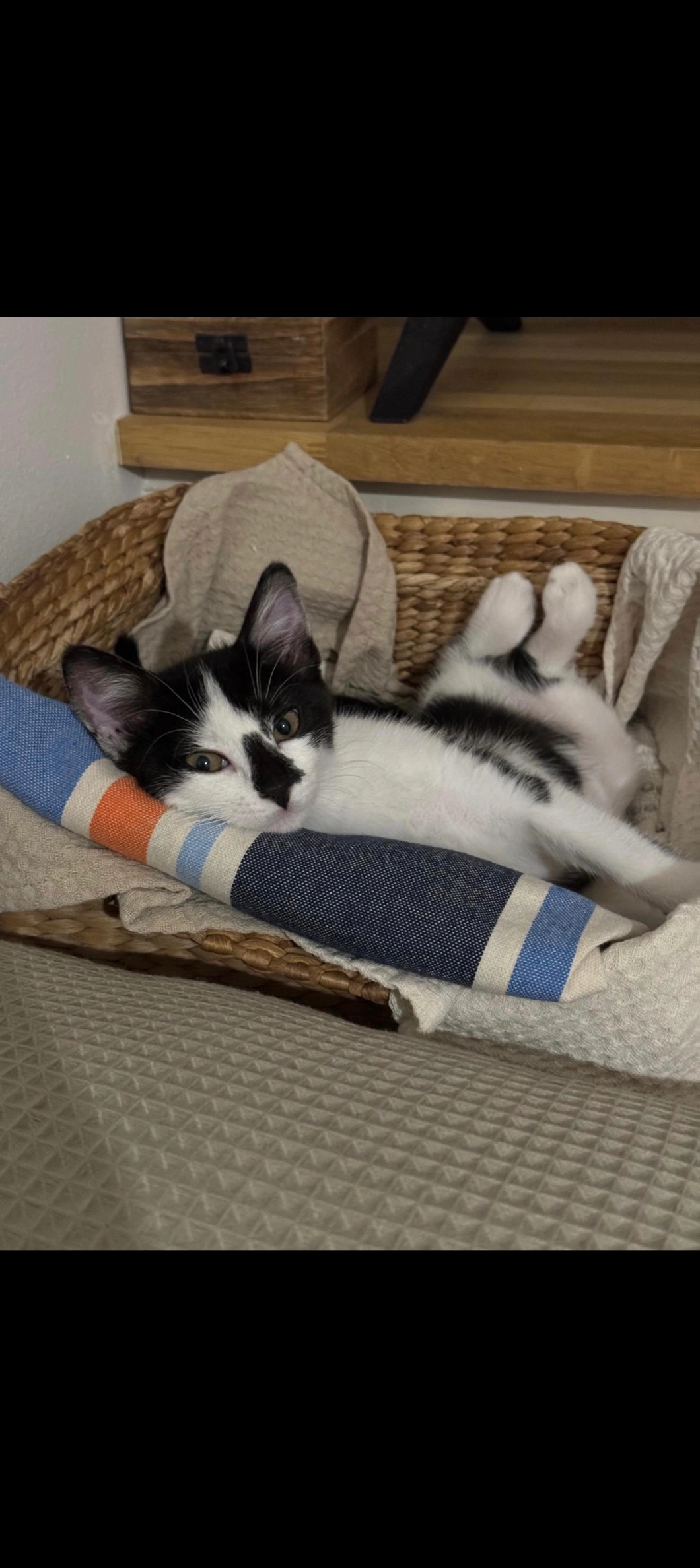 Nousnous - 3202 Route de Salernes, Flayosc