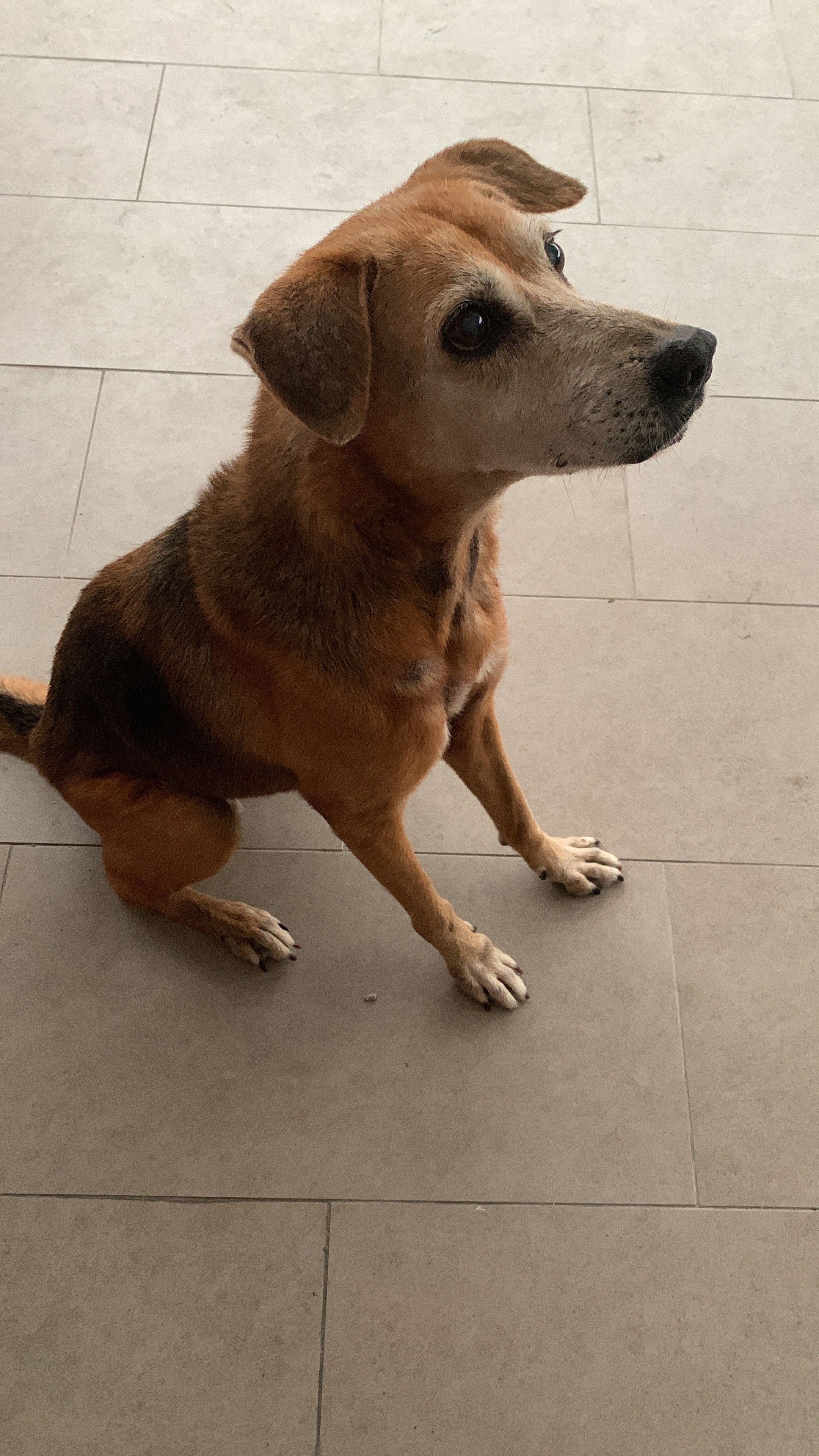 Gigi - Jalan SL 7/4, Cheras