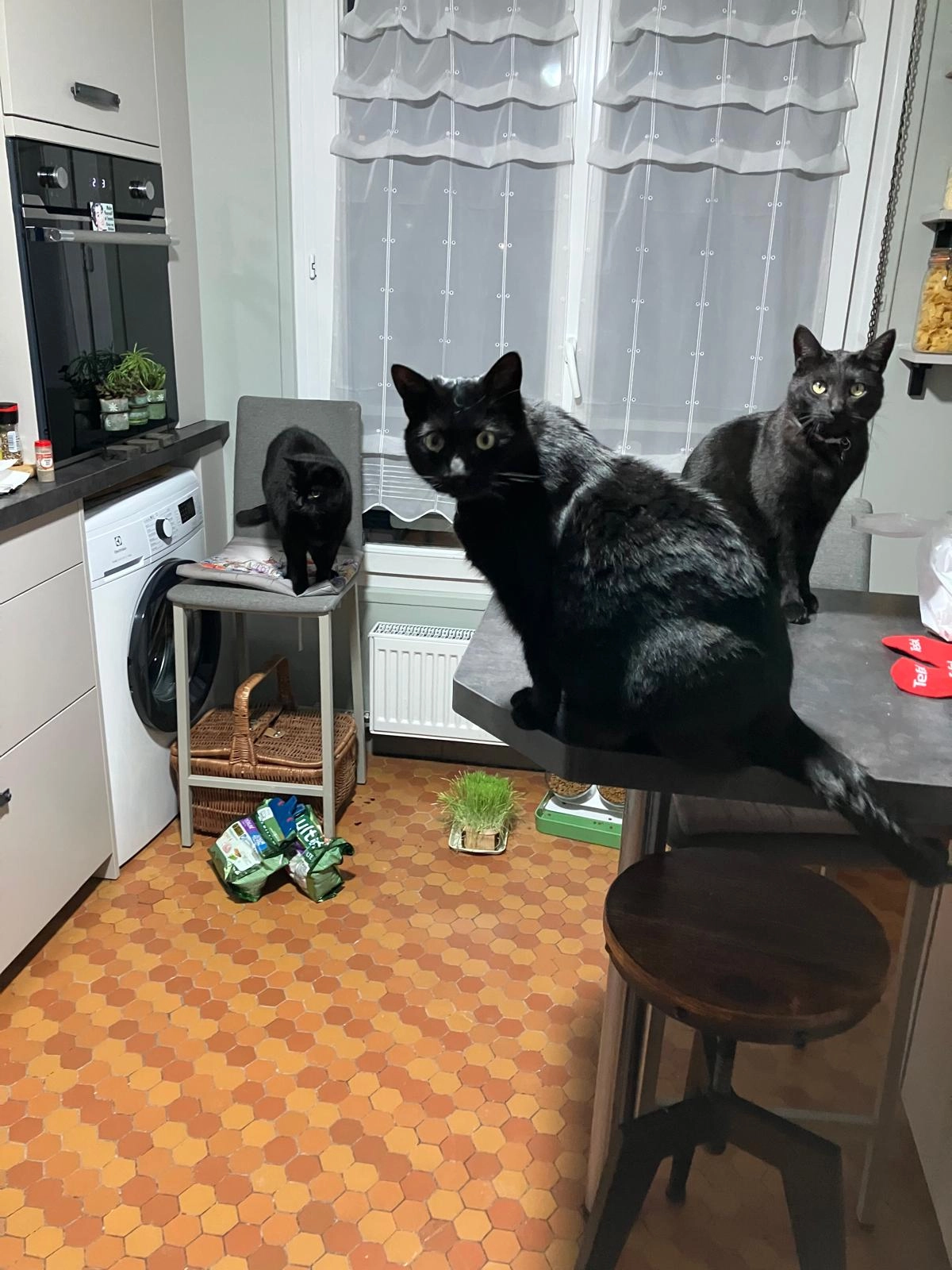 Foster - Avenue Maréchal De Lattre De Tassigny, Épinal