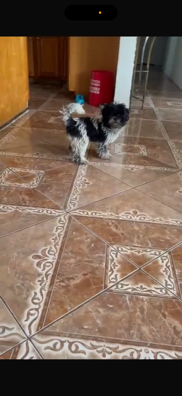 Oreo - 1125 NW 18th St, Fort Lauderdale