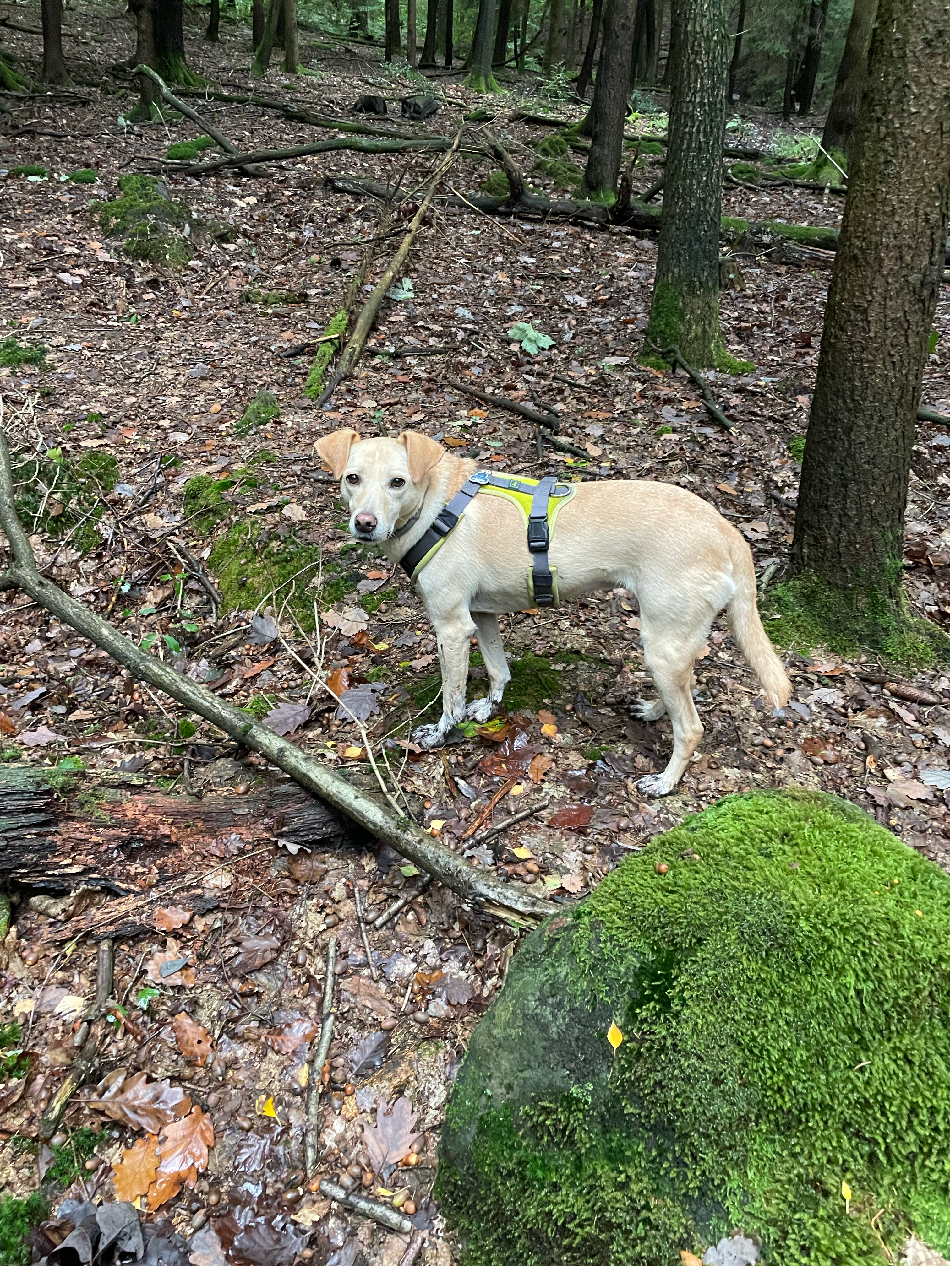 Offa - K 20, Blekendorf