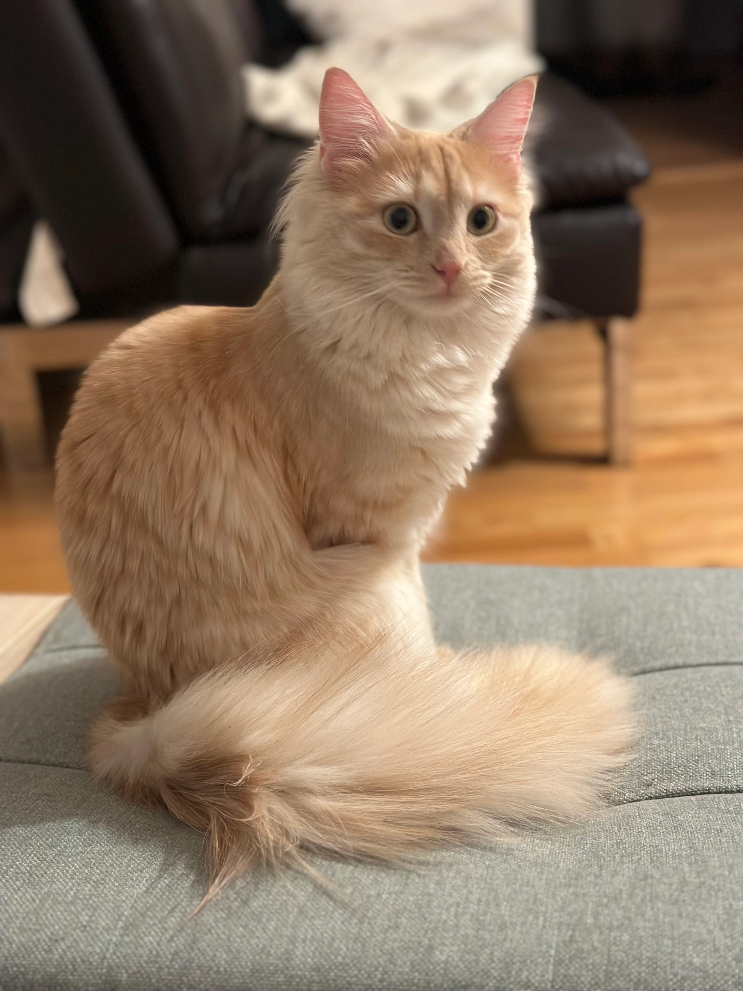 Pearl - Smaragdgatan, Göteborg