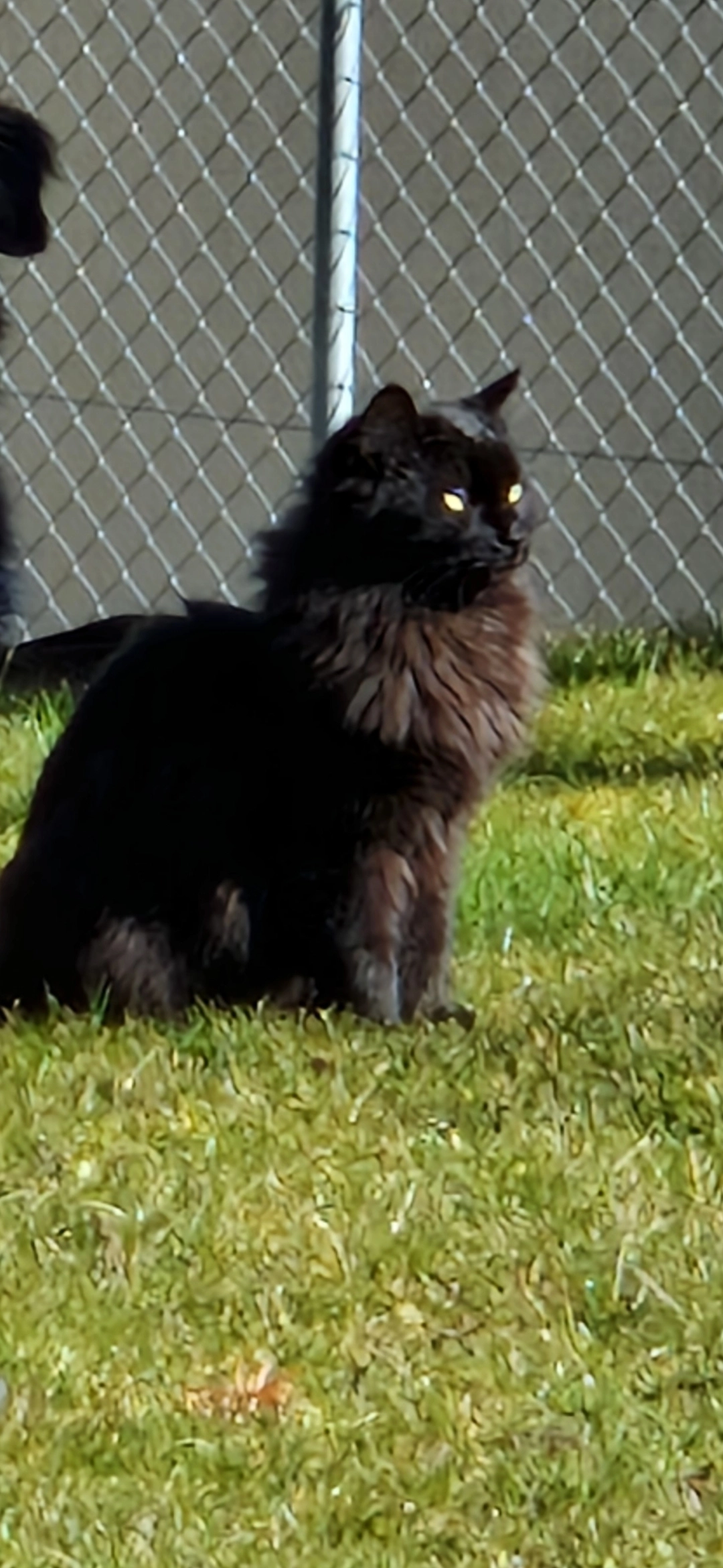 Yuno - 8637, Laupen Zh