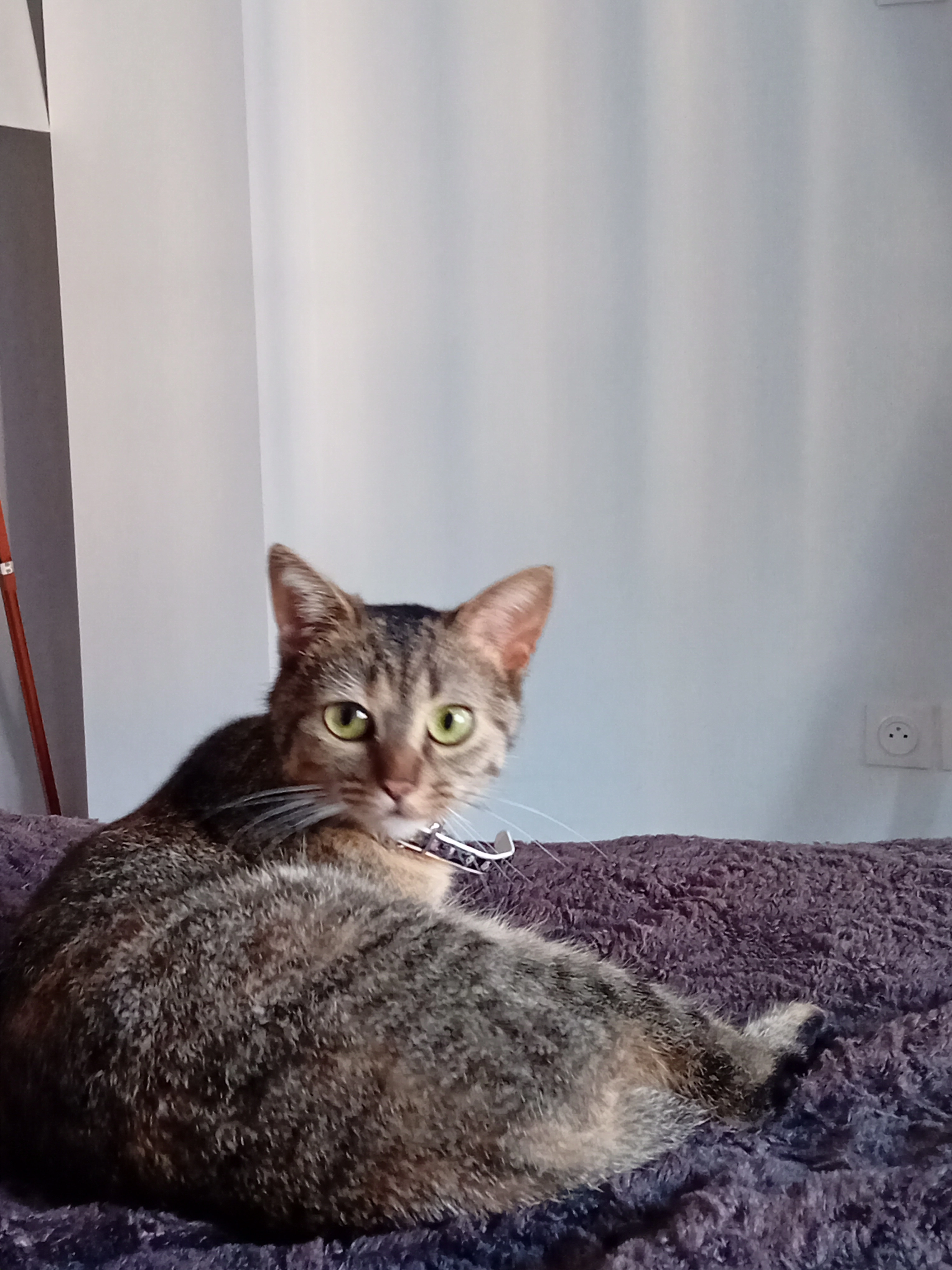 Mayumi  - Rue de Lille, Valenciennes