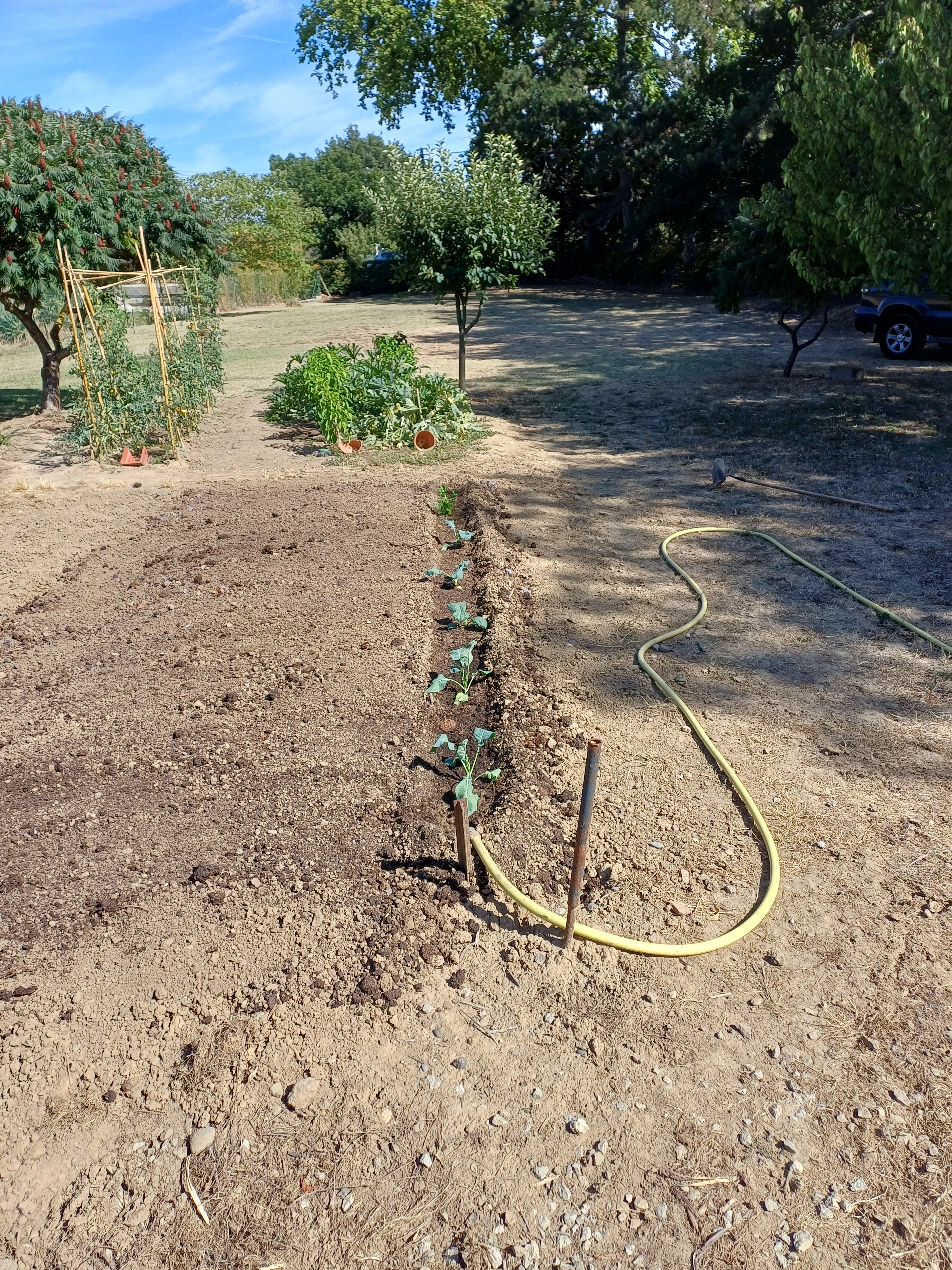 Laska - Chemin de Preixan, Roullens
