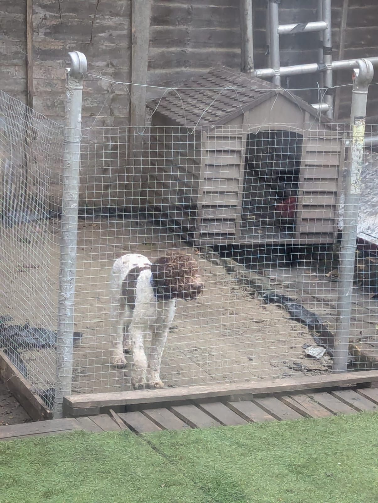 islero - Sherringham Avenue, London