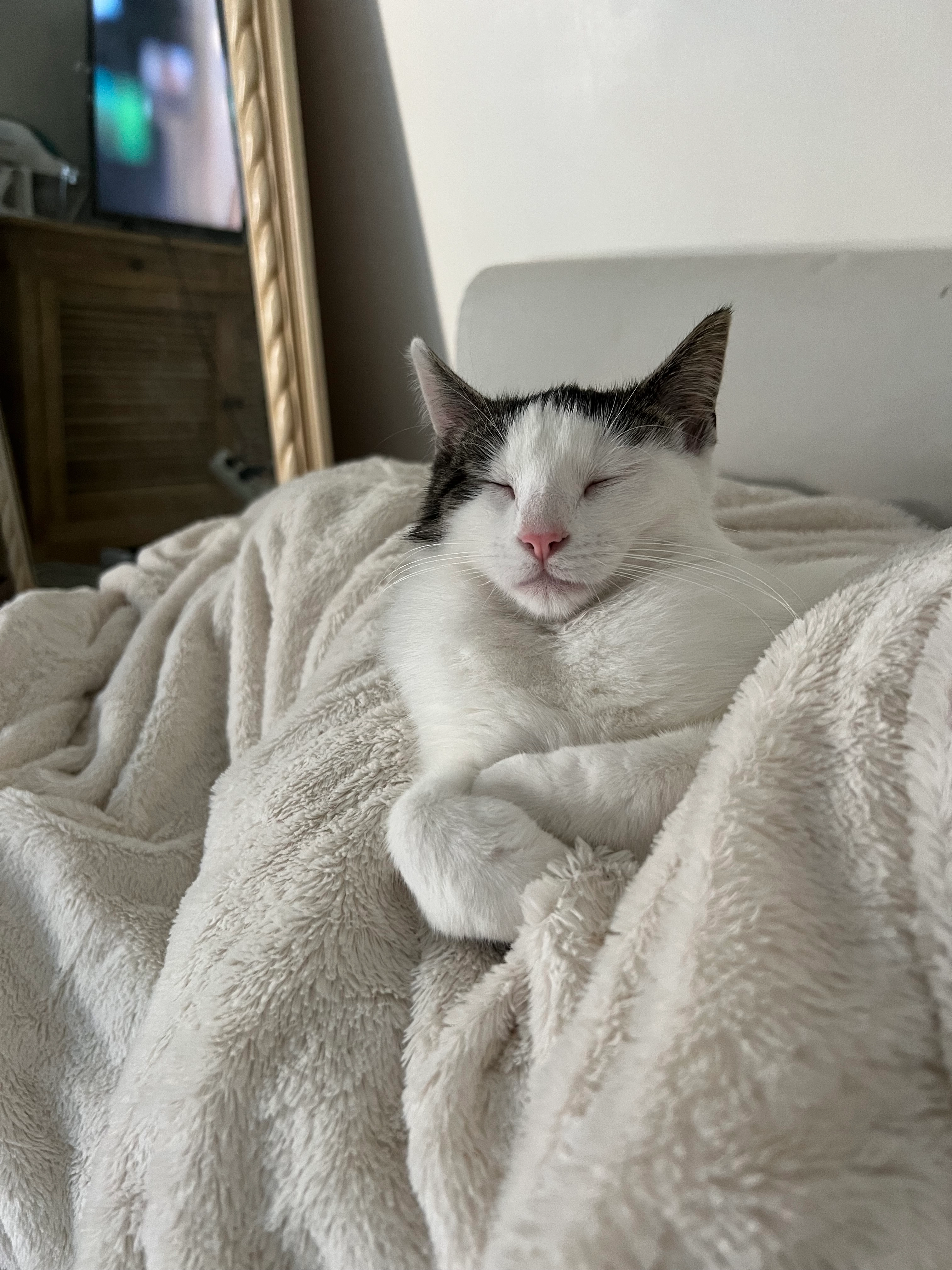 Bulle - 10 Route de Dourdan, Breuillet