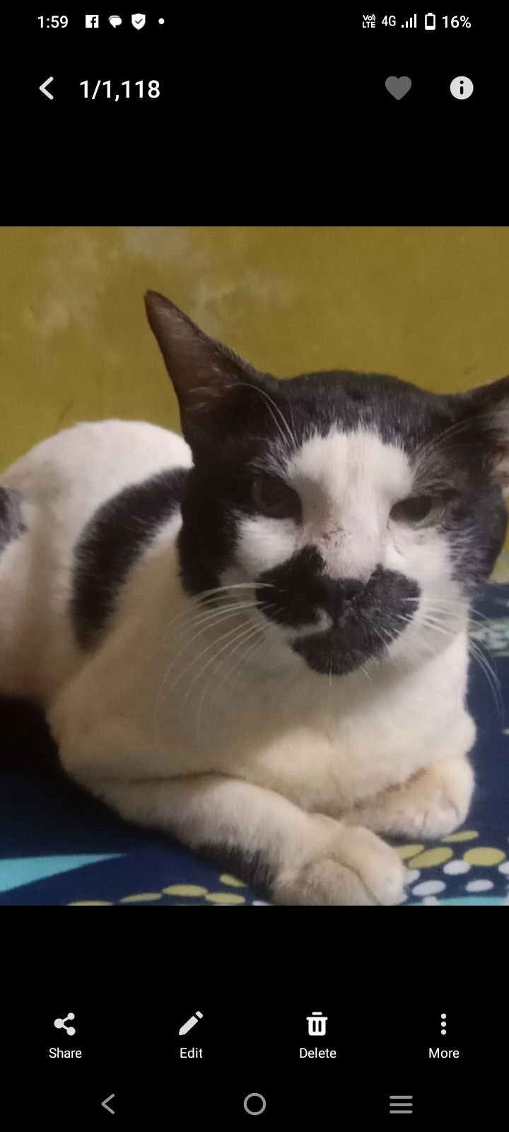 Hanu - 753008, Cuttack