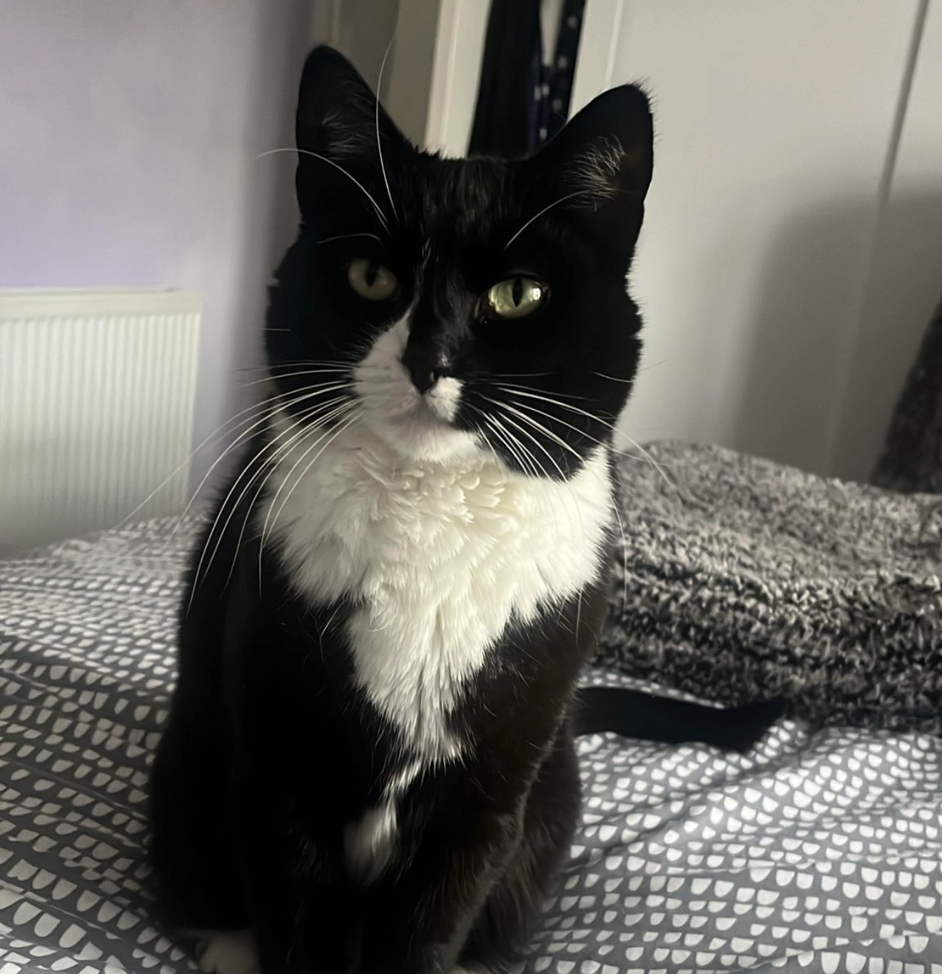 Minnie - Mount Road, Birkenhead