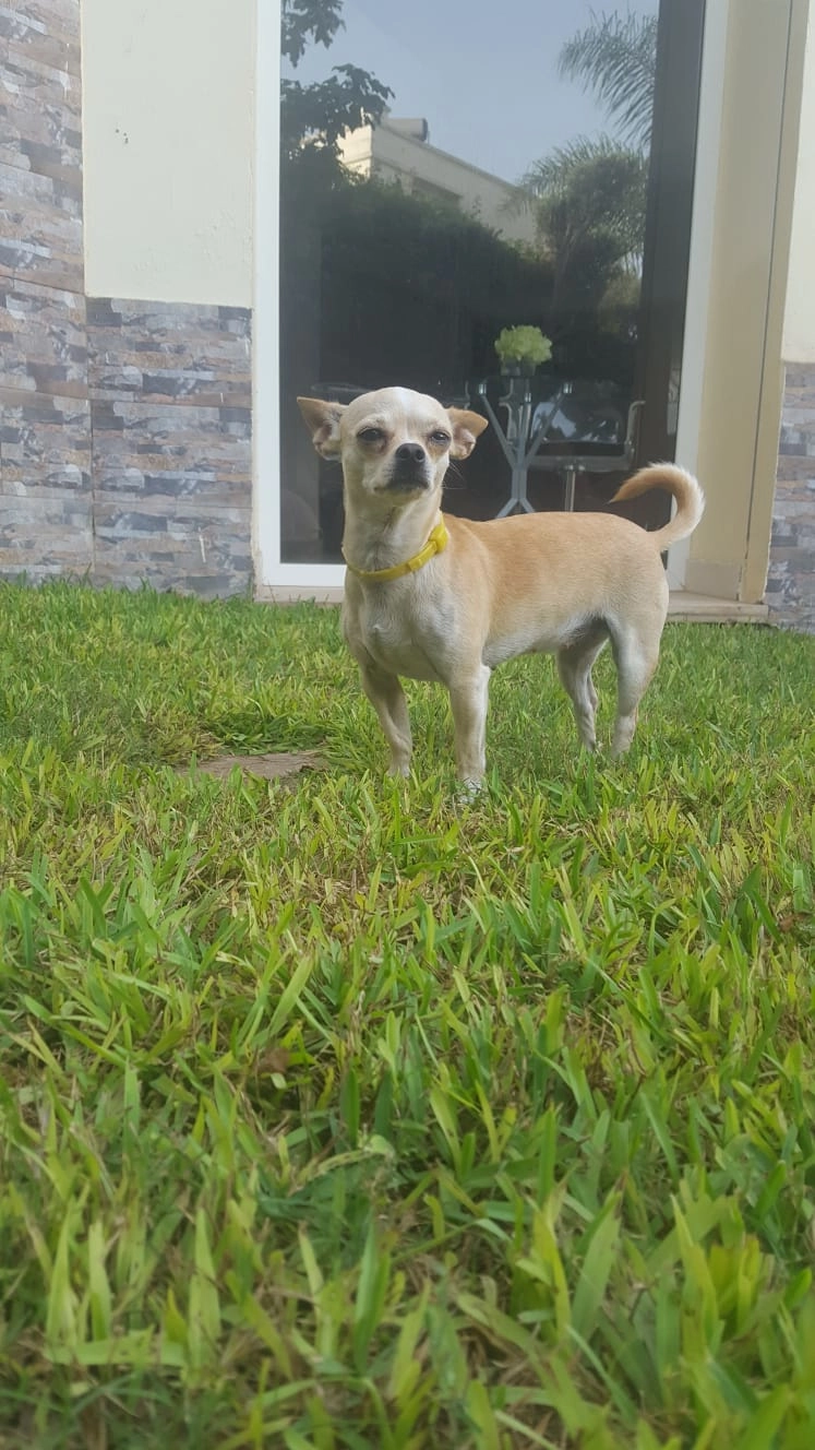 Lola - 27, Dar Bouazza