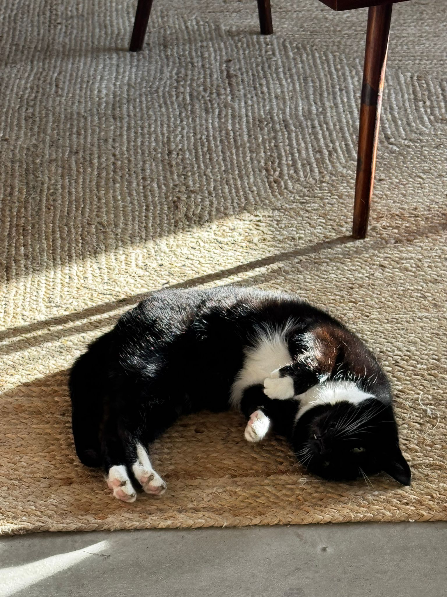 Keisha - Herne Bay Road, Whitstable