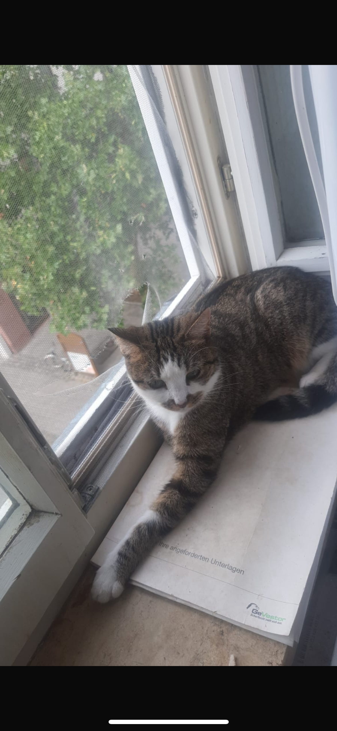 Anna - Südliche Mauerstraße, Schwabach