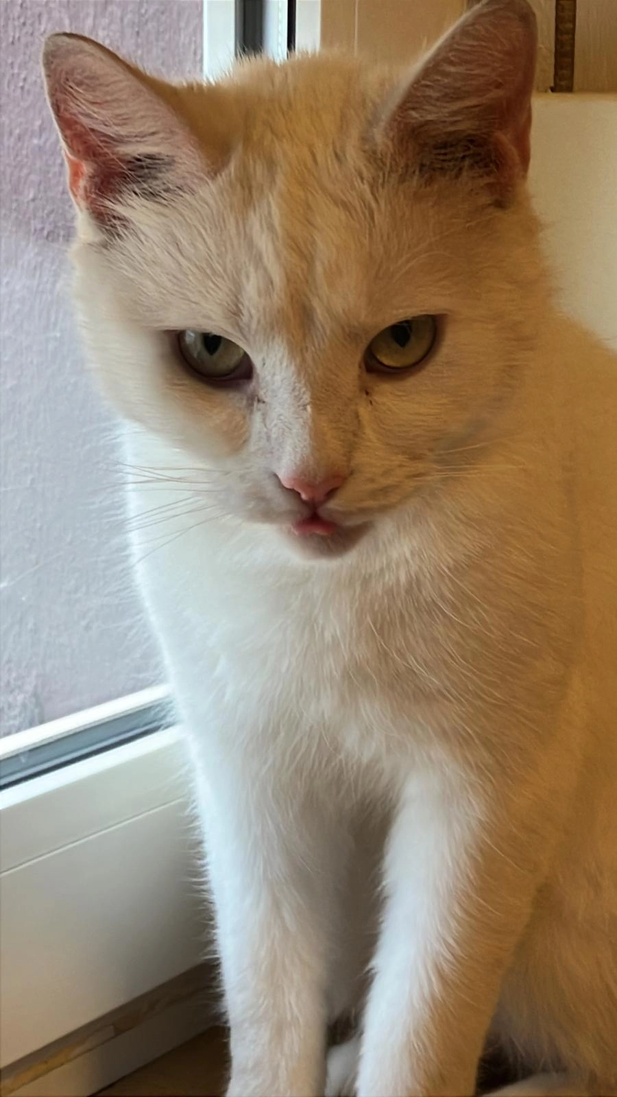 Motte - Gemeindestraße, Kyffhäuserland