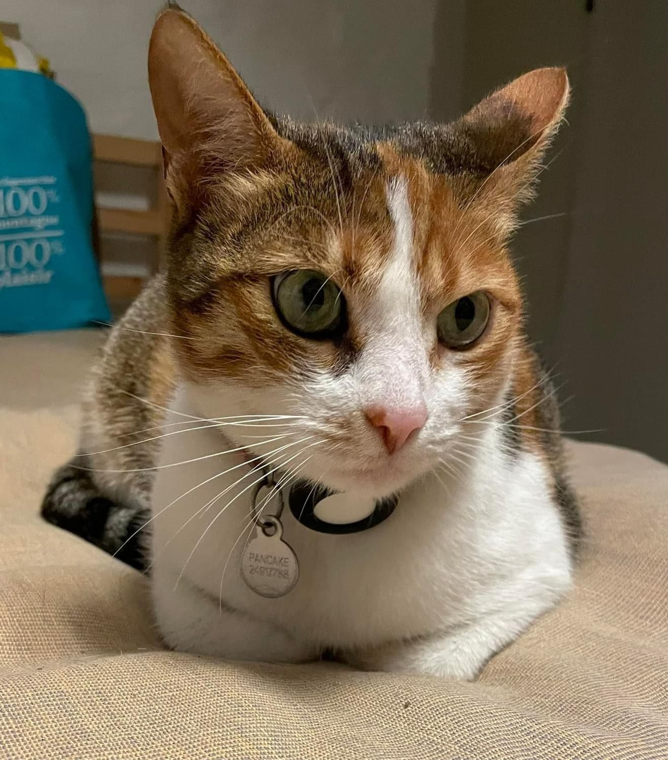 Pancake - Berggreensgade 34, København Ø