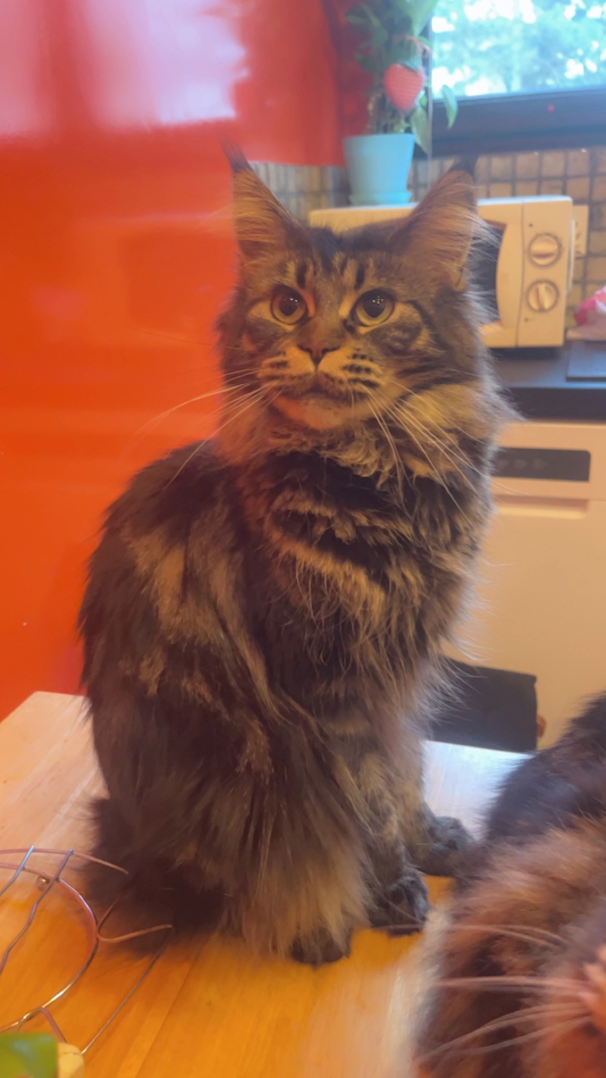 Ummy - Rue de Fère, Château-Thierry