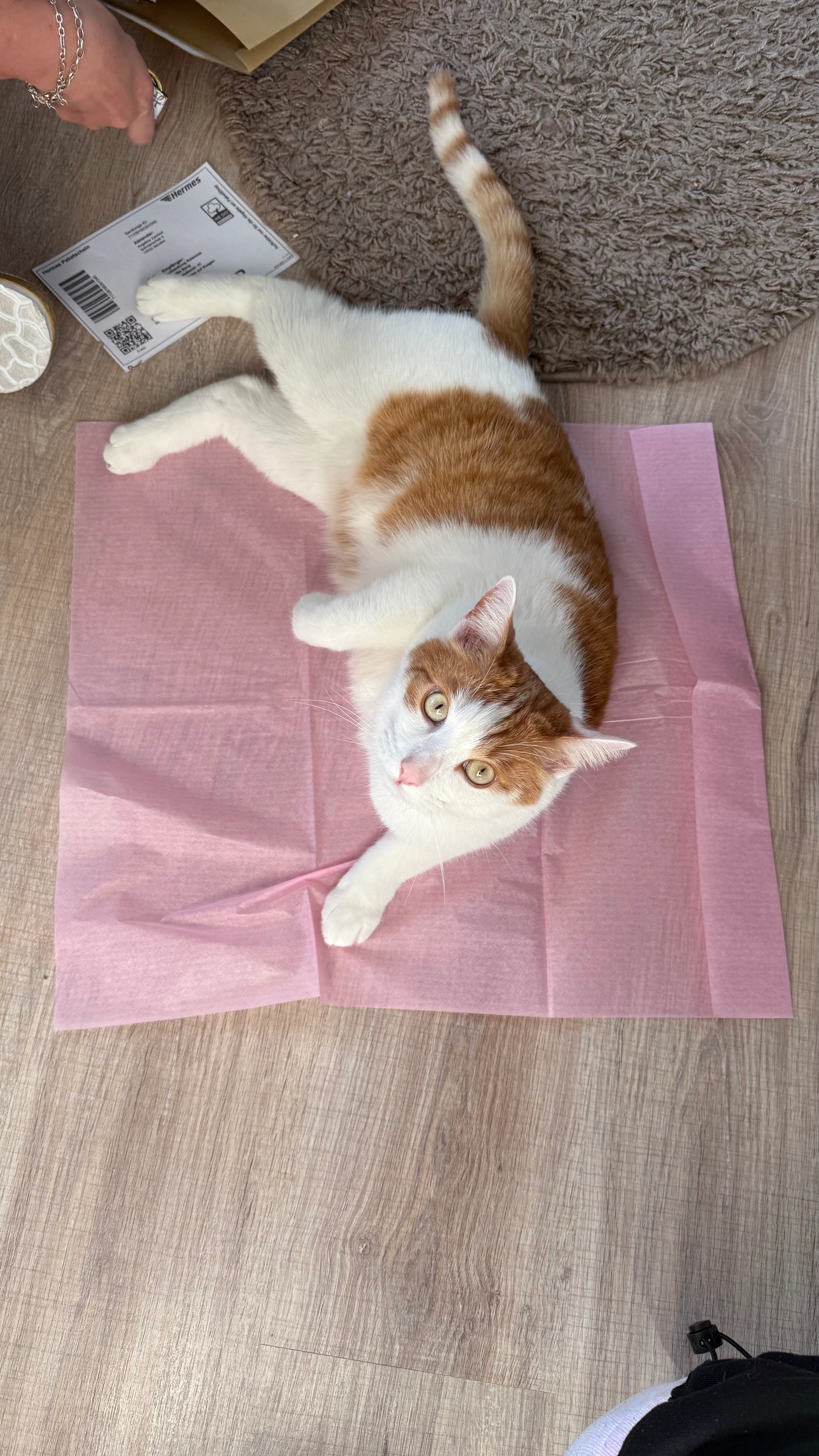 Kitty - Schmerachstraße, Ilshofen