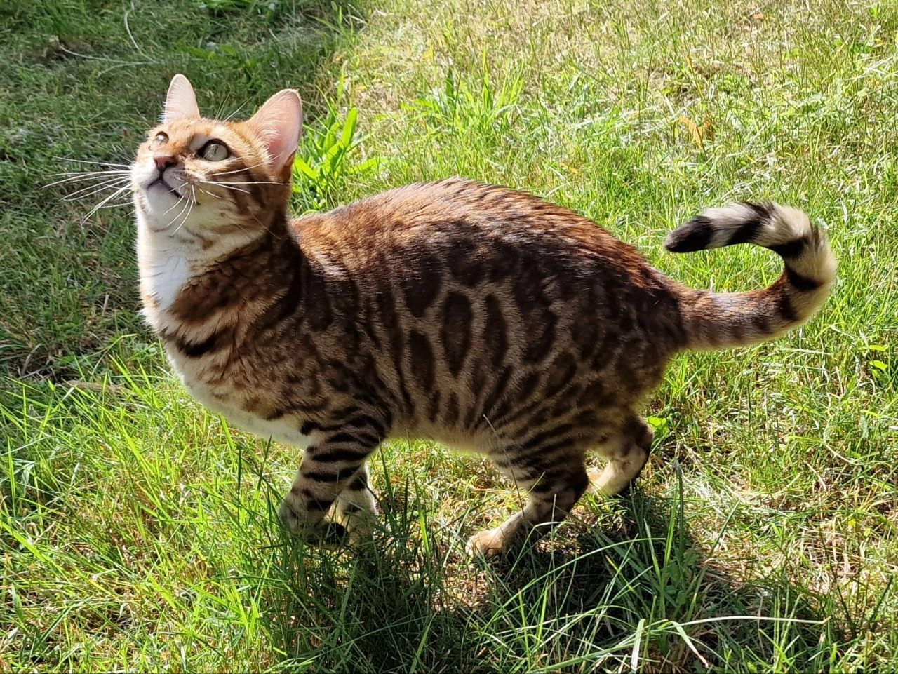 Liffey - Am Bahndamm, Oranienburg