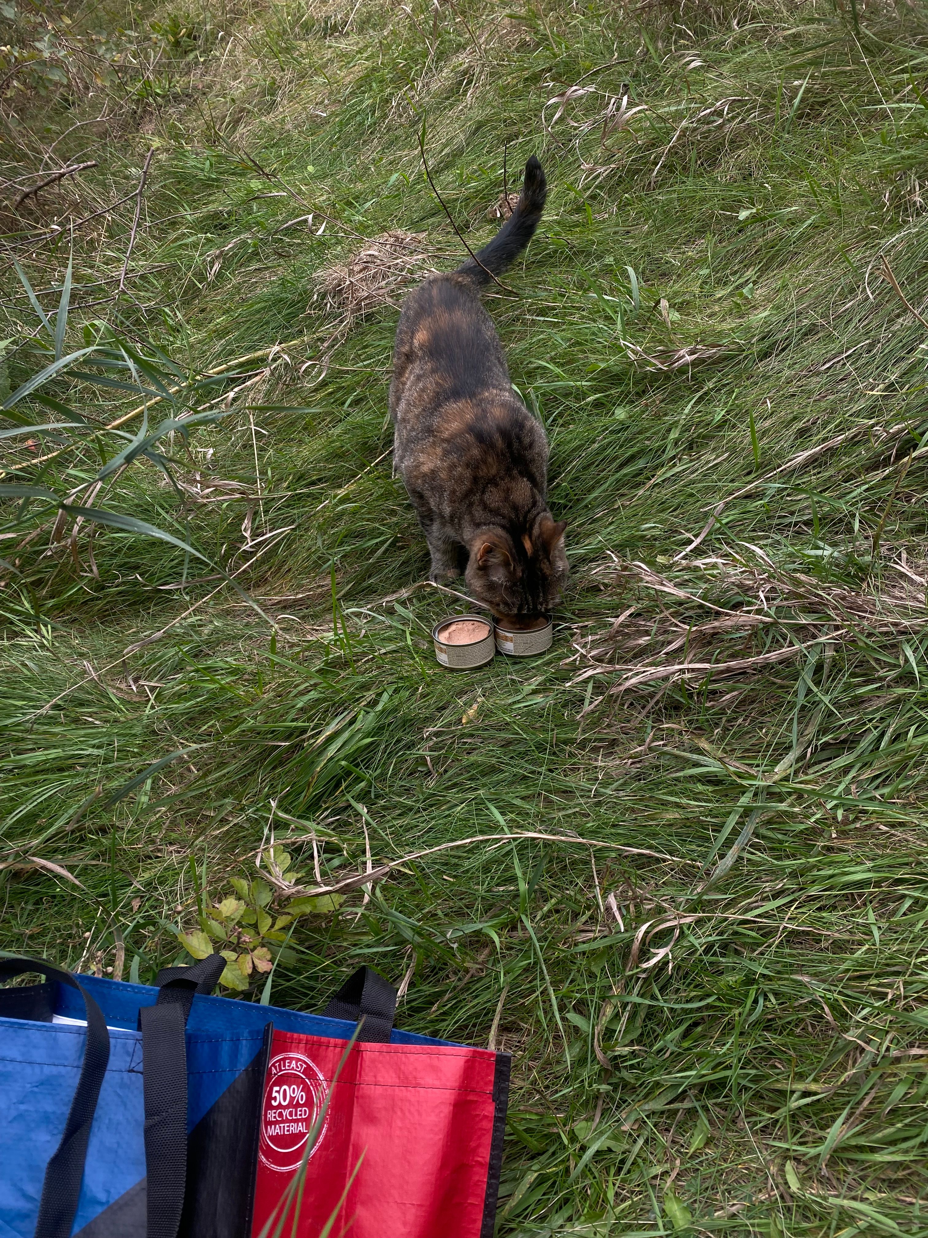 Jinxy - Via Kennedy, Candiolo