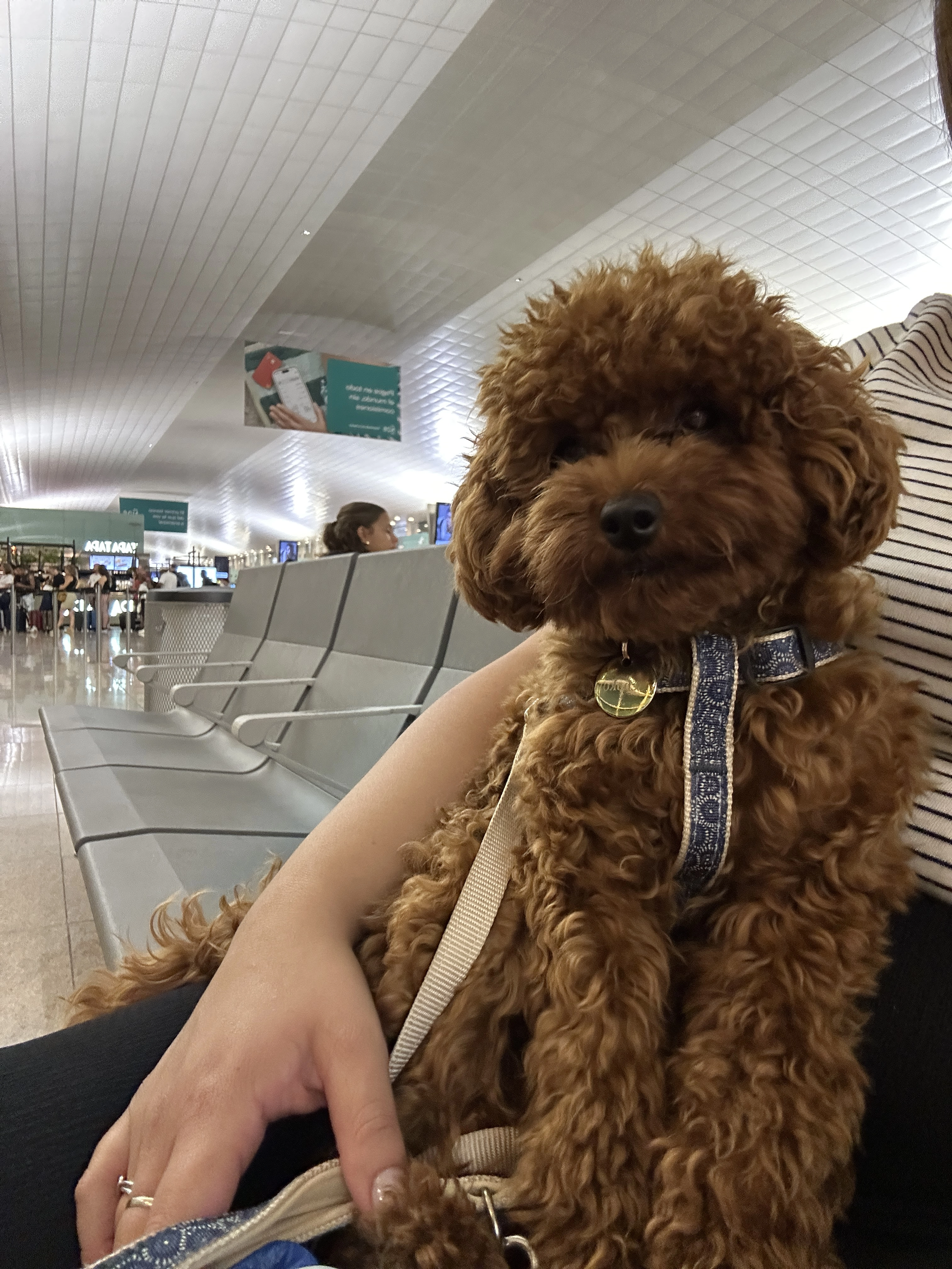 Schoko - Dreimühlenstraße, München