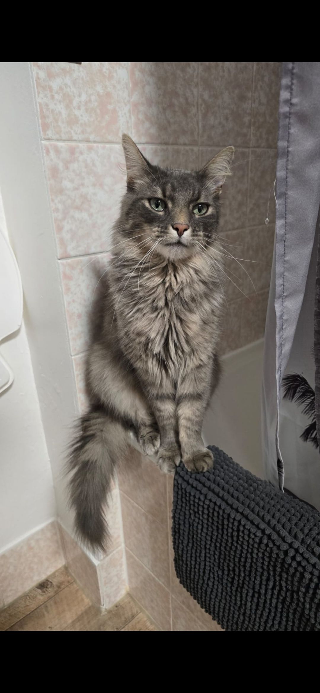 Puschel - Ringstraße, Rhaunen