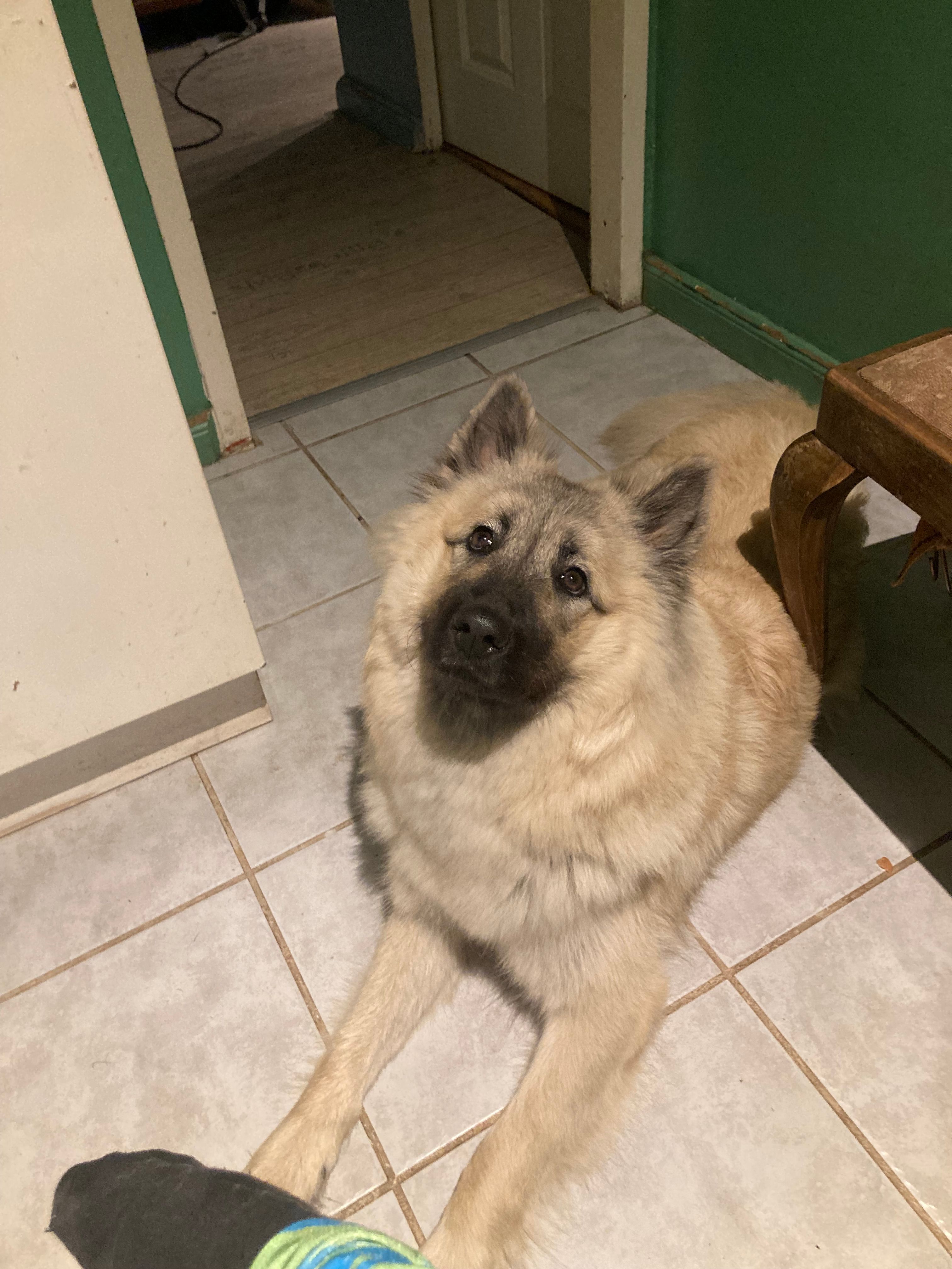 Ilvy - Heynstraße, Berlin