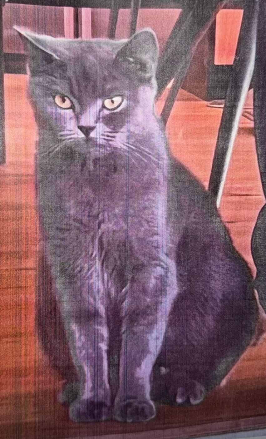 Lucy - Tassilostraße, Obertraubling