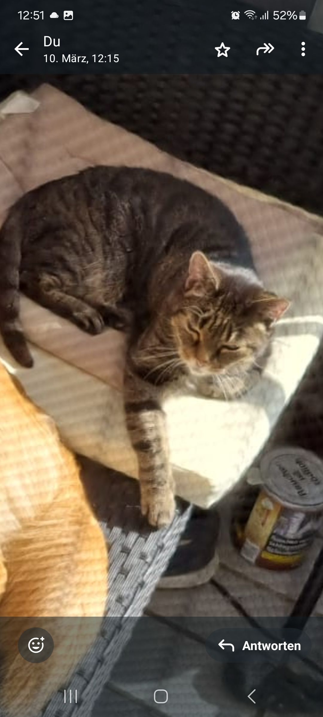 Schmusi  - 37154, Northeim